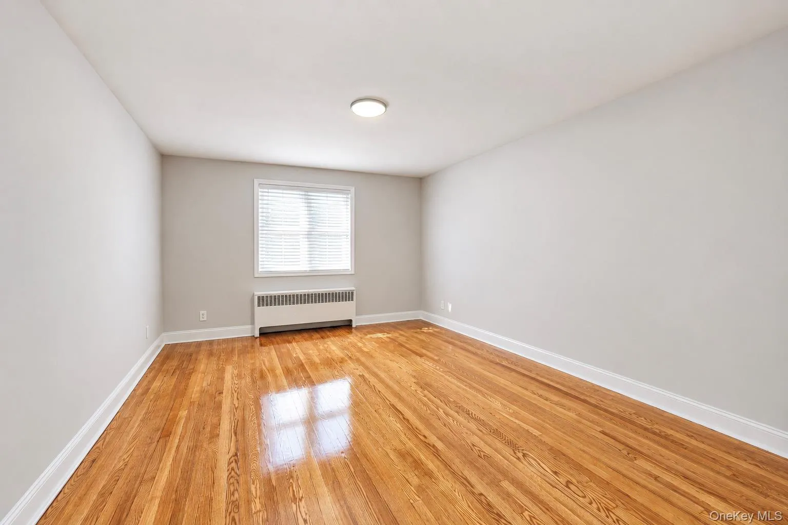 2427 Morgan Avenue, New York, NY, 3 Bedrooms Bedrooms, 9 Rooms Rooms,2 BathroomsBathrooms,Residential,For Rent,Morgan,0,1060061 2427 Morgan Avenue, New York, NY, 3 Bedrooms Bedrooms, 9 Rooms Rooms,2 BathroomsBathrooms,Residential,For Rent,Morgan,0,1060061