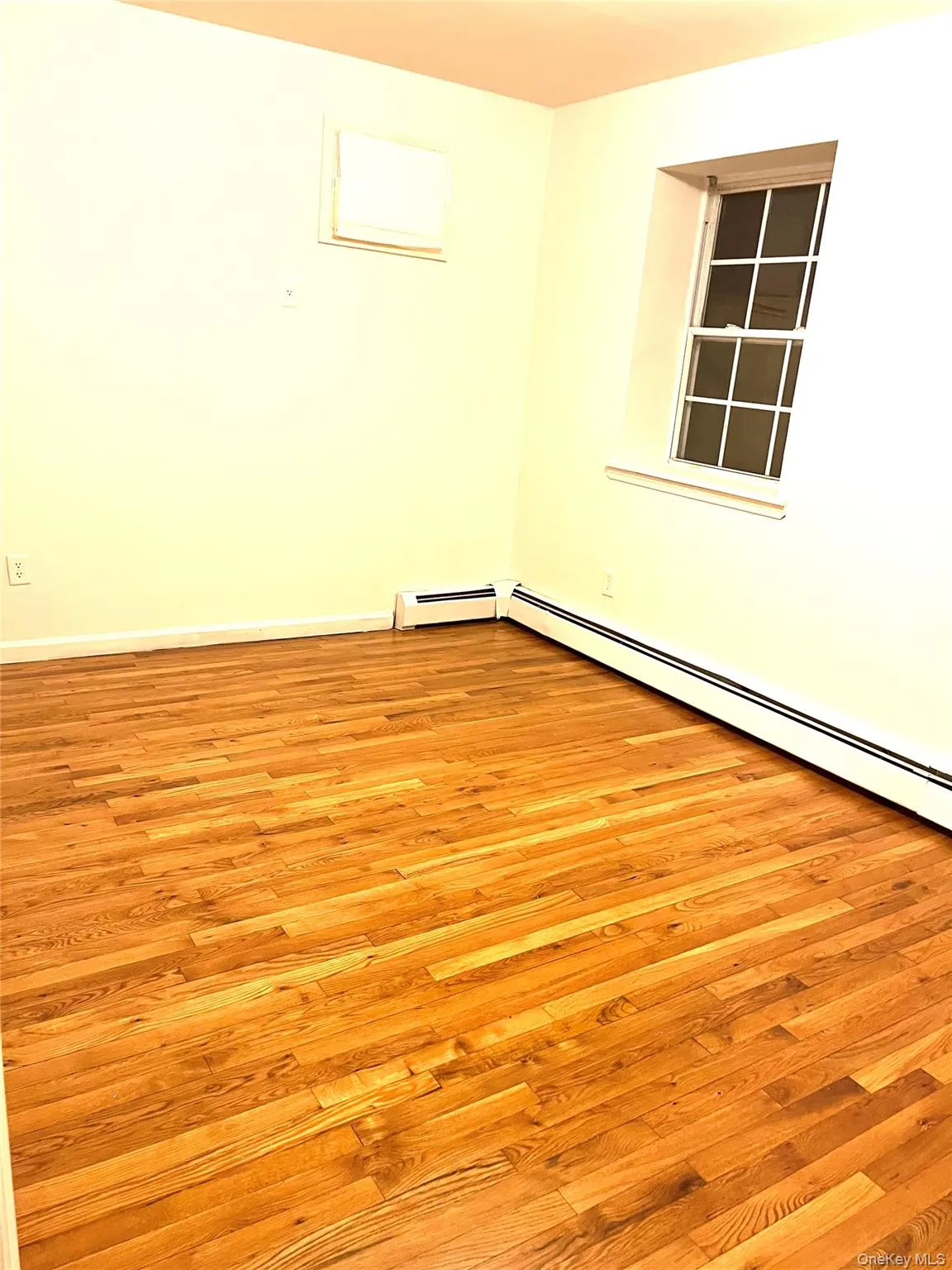 82-81 88th pl, New York, NY, 2 Bedrooms Bedrooms, 5 Rooms Rooms,1 BathroomBathrooms,Residential Lease,For Rent,88th pl,0,1060065 82-81 88th pl, New York, NY, 2 Bedrooms Bedrooms, 5 Rooms Rooms,1 BathroomBathrooms,Residential Lease,For Rent,88th pl,0,1060065