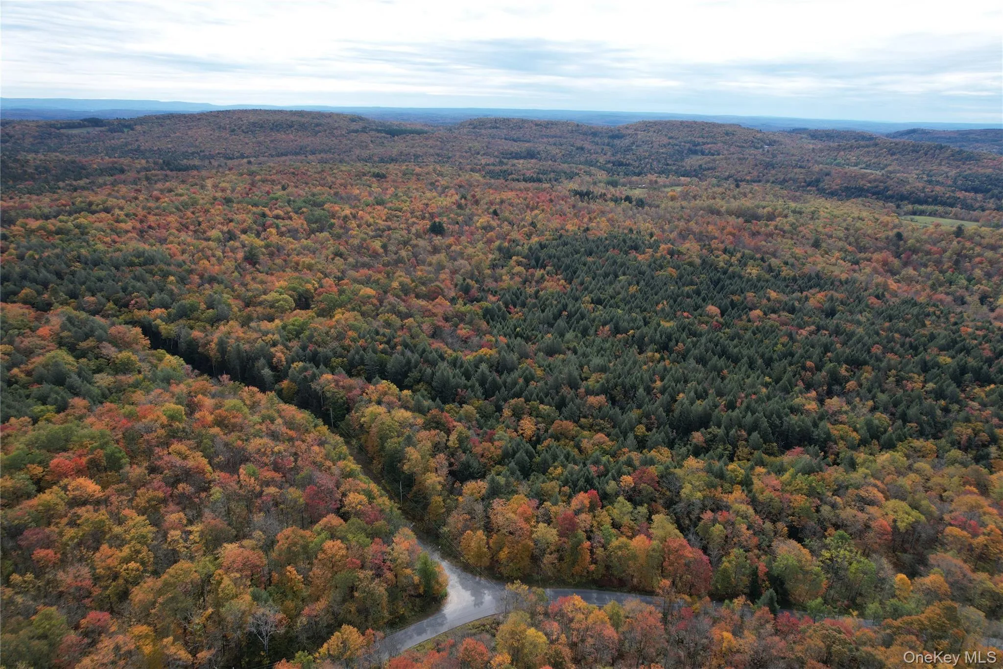 TBD Lily Pond Road, Liberty, NY, ,Land,For Rent,Lily Pond,0,1060084 TBD Lily Pond Road, Liberty, NY, ,Land,For Rent,Lily Pond,0,1060084