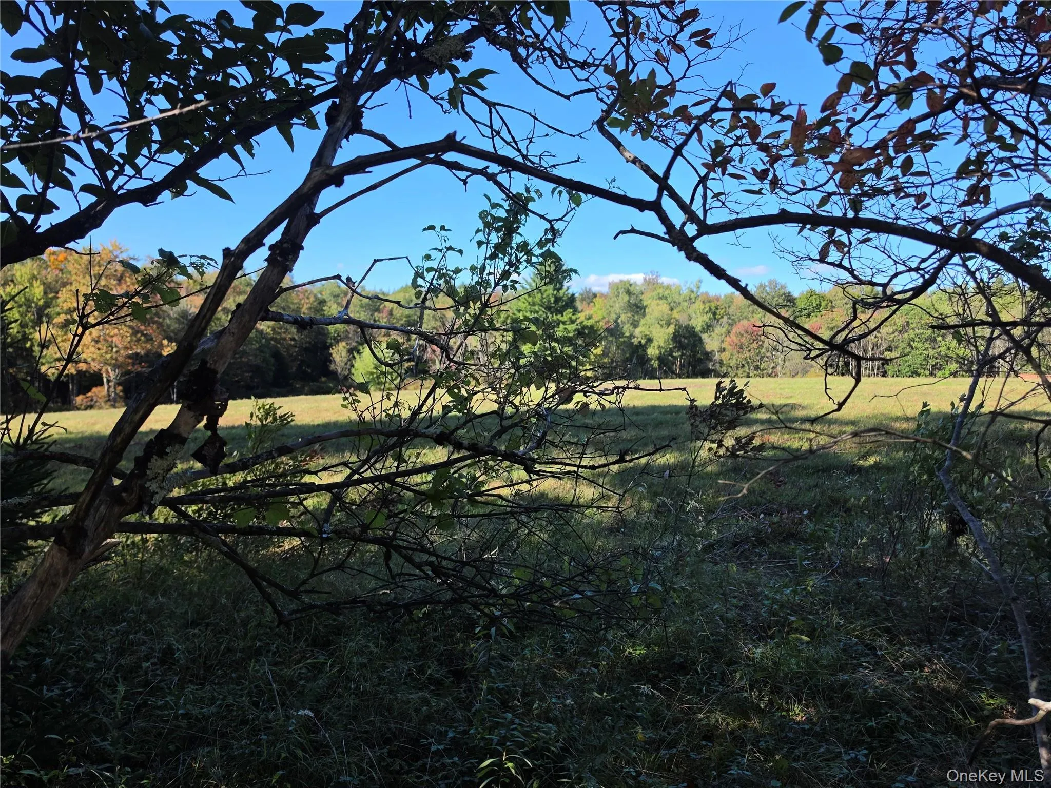 TBD Lily Pond Road, Liberty, NY, ,Land,For Rent,Lily Pond,0,1060084 TBD Lily Pond Road, Liberty, NY, ,Land,For Rent,Lily Pond,0,1060084