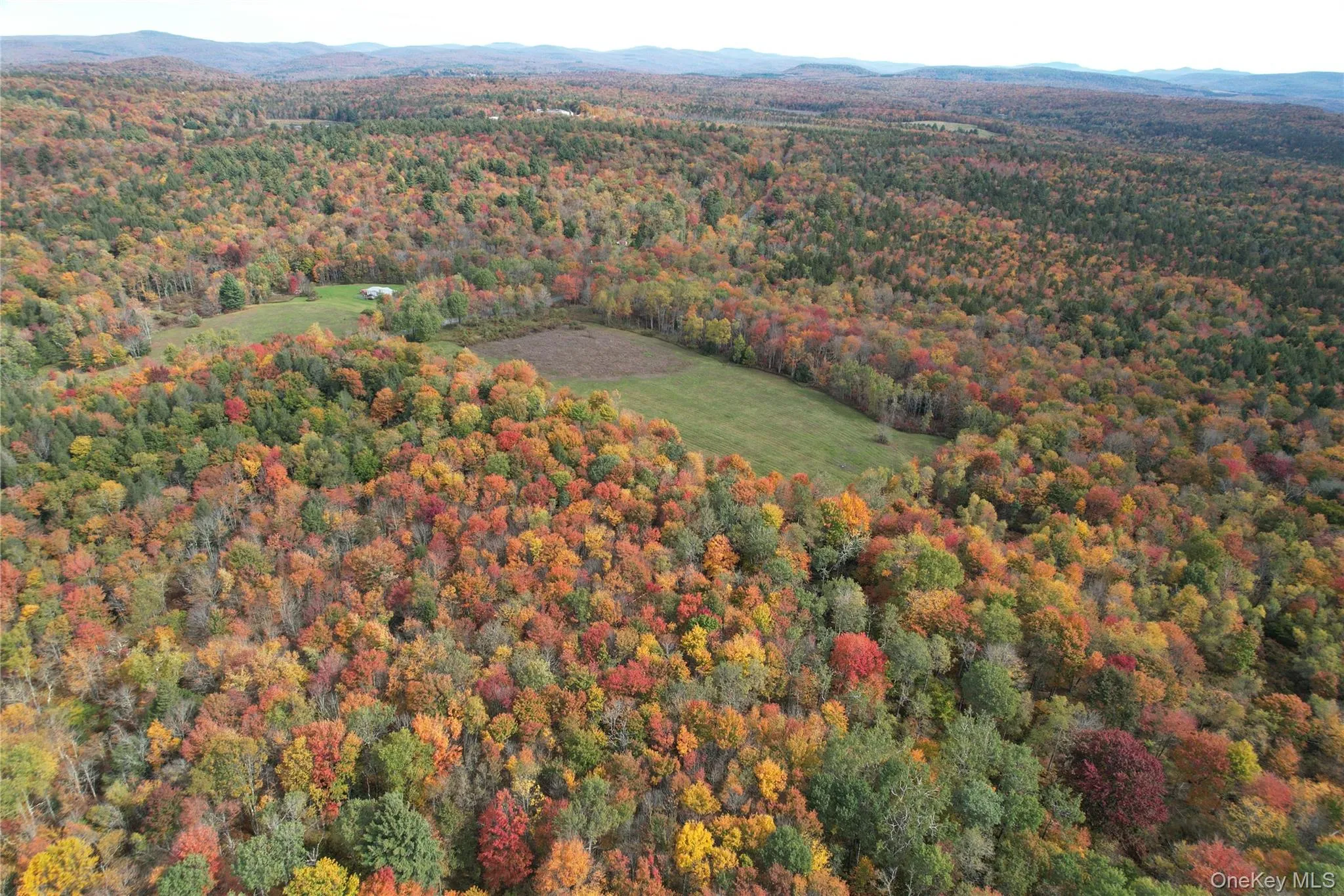TBD Lily Pond Road, Liberty, NY, ,Land,For Rent,Lily Pond,0,1060084 TBD Lily Pond Road, Liberty, NY, ,Land,For Rent,Lily Pond,0,1060084