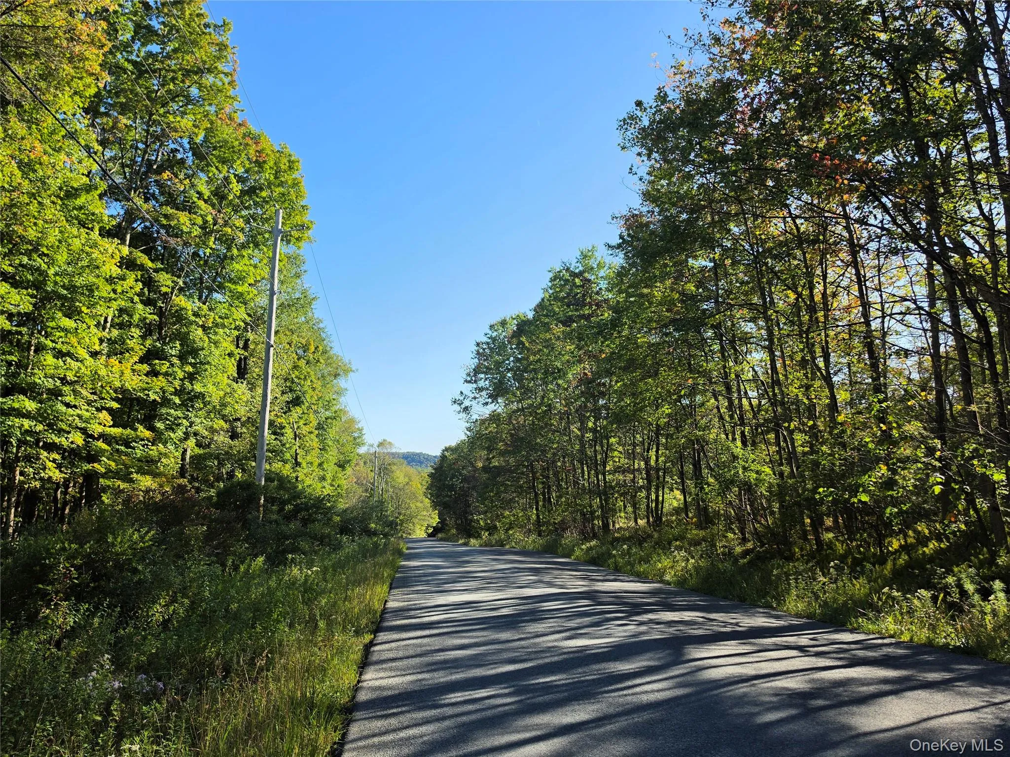 TBD Lily Pond Road, Liberty, NY, ,Land,For Rent,Lily Pond,0,1060084 TBD Lily Pond Road, Liberty, NY, ,Land,For Rent,Lily Pond,0,1060084
