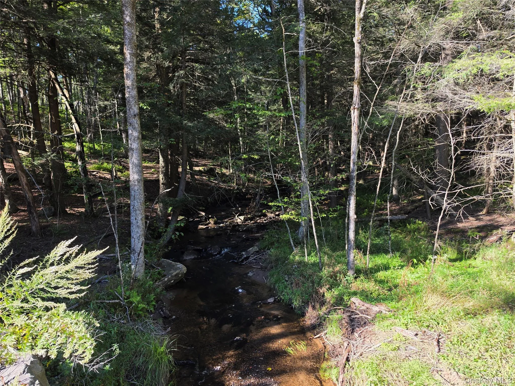 TBD Lily Pond Road, Liberty, NY, ,Land,For Rent,Lily Pond,0,1060084 TBD Lily Pond Road, Liberty, NY, ,Land,For Rent,Lily Pond,0,1060084