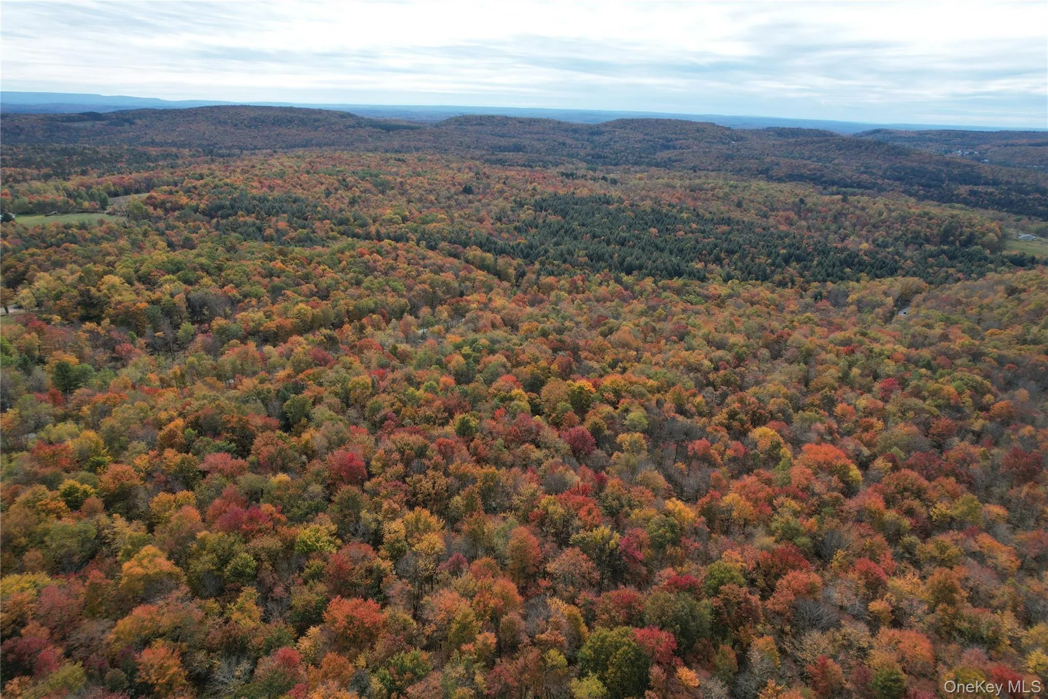 TBD Lily Pond Road, Liberty, NY, ,Land,For Rent,Lily Pond,0,1060084 TBD Lily Pond Road, Liberty, NY, ,Land,For Rent,Lily Pond,0,1060084