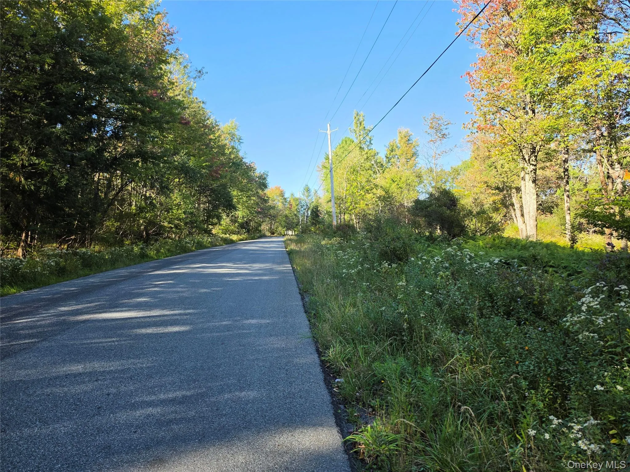 TBD Lily Pond Road, Liberty, NY, ,Land,For Rent,Lily Pond,0,1060084 TBD Lily Pond Road, Liberty, NY, ,Land,For Rent,Lily Pond,0,1060084