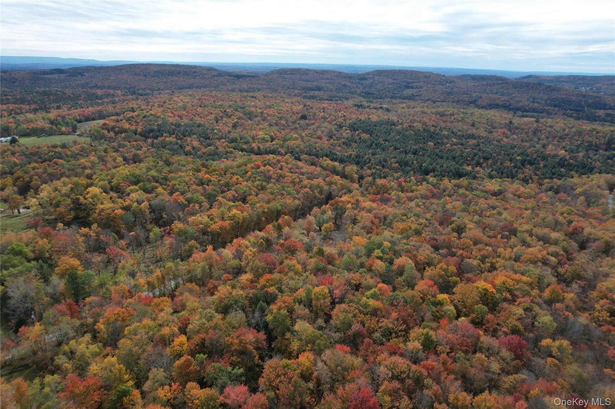 TBD Lily Pond Road, Liberty, NY, ,Land,For Rent,Lily Pond,0,1060084 TBD Lily Pond Road, Liberty, NY, ,Land,For Rent,Lily Pond,0,1060084