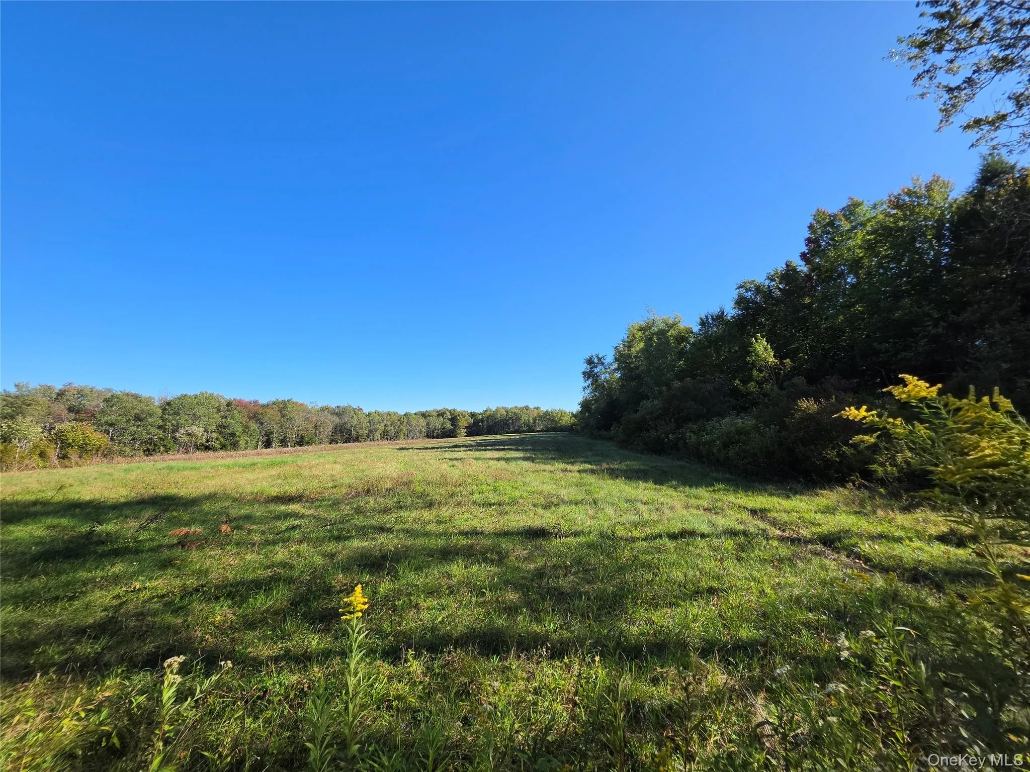TBD Lily Pond Road, Liberty, NY, ,Land,For Rent,Lily Pond,0,1060084 TBD Lily Pond Road, Liberty, NY, ,Land,For Rent,Lily Pond,0,1060084