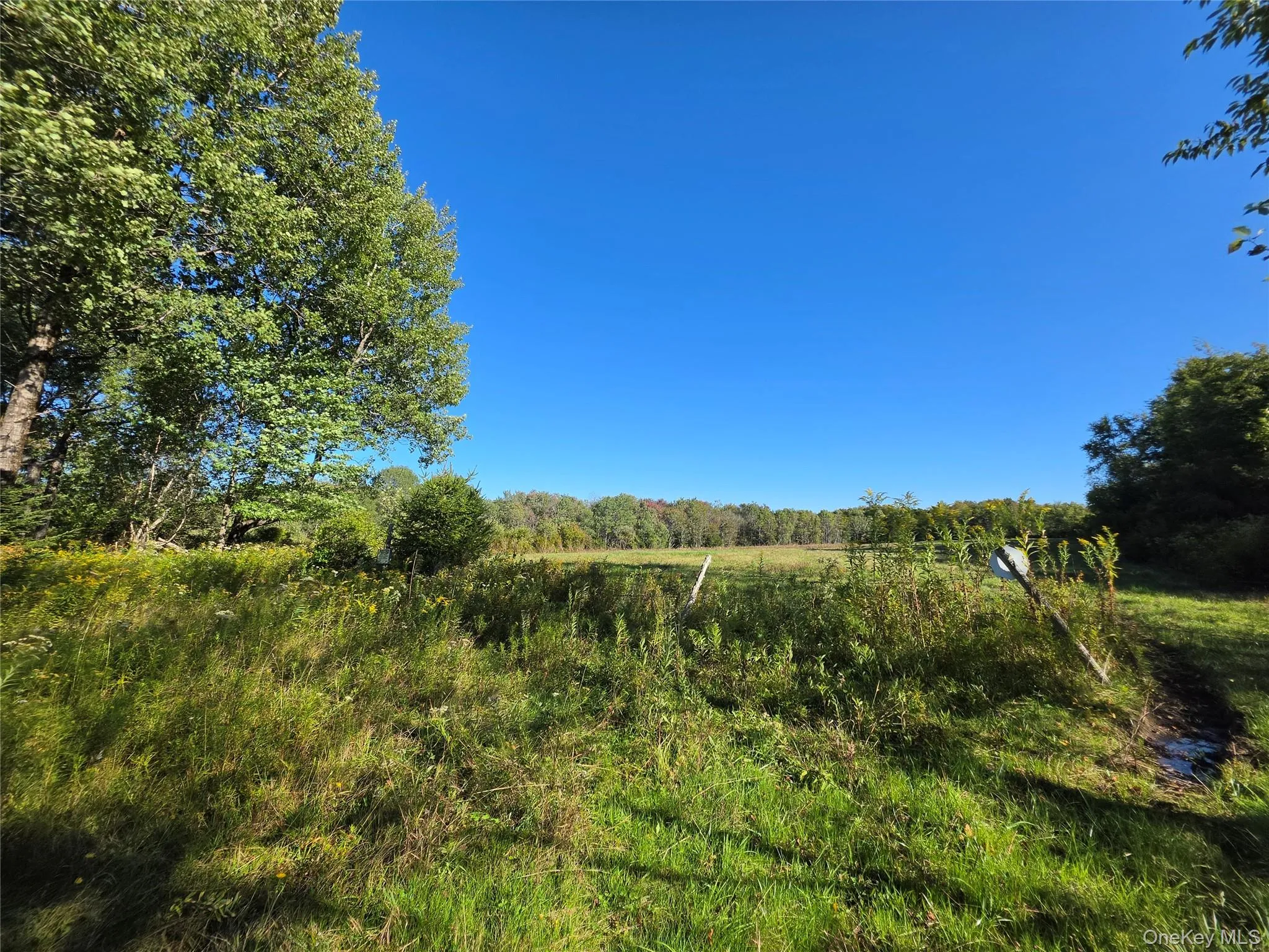 TBD Lily Pond Road, Liberty, NY, ,Land,For Rent,Lily Pond,0,1060084 TBD Lily Pond Road, Liberty, NY, ,Land,For Rent,Lily Pond,0,1060084