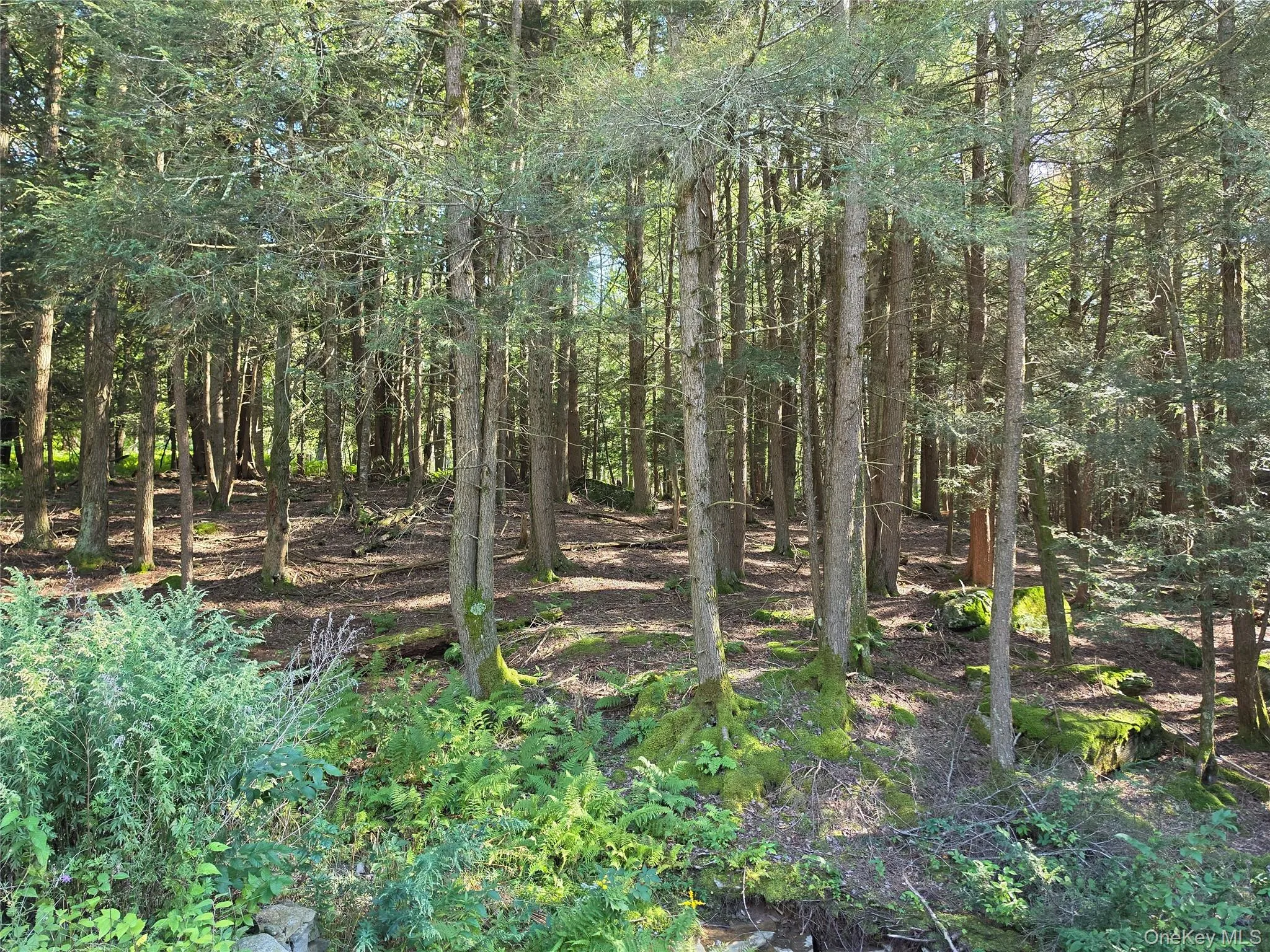 TBD Lily Pond Road, Liberty, NY, ,Land,For Rent,Lily Pond,0,1060084 TBD Lily Pond Road, Liberty, NY, ,Land,For Rent,Lily Pond,0,1060084