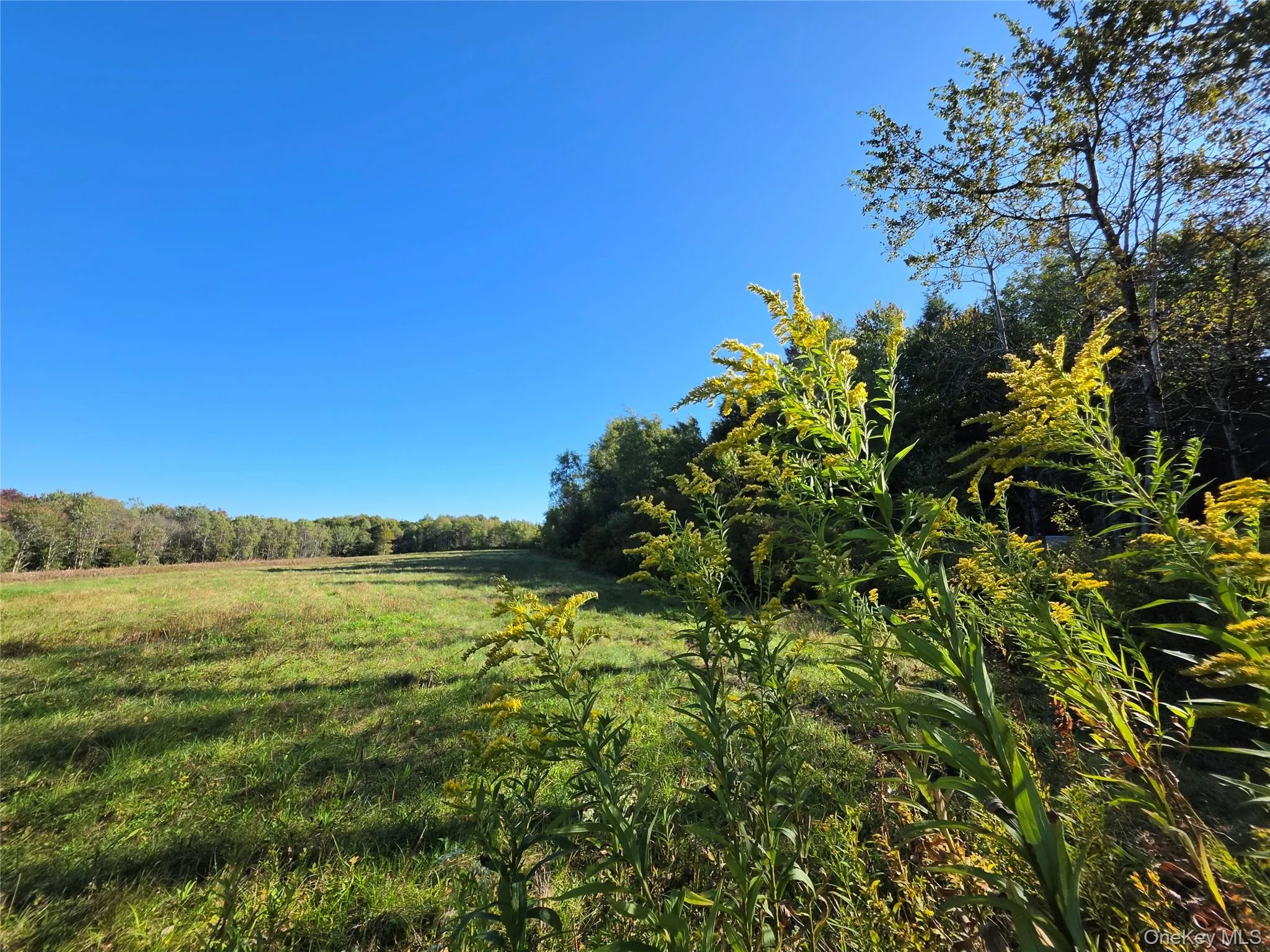 TBD Lily Pond Road, Liberty, NY, ,Land,For Rent,Lily Pond,0,1060084 TBD Lily Pond Road, Liberty, NY, ,Land,For Rent,Lily Pond,0,1060084