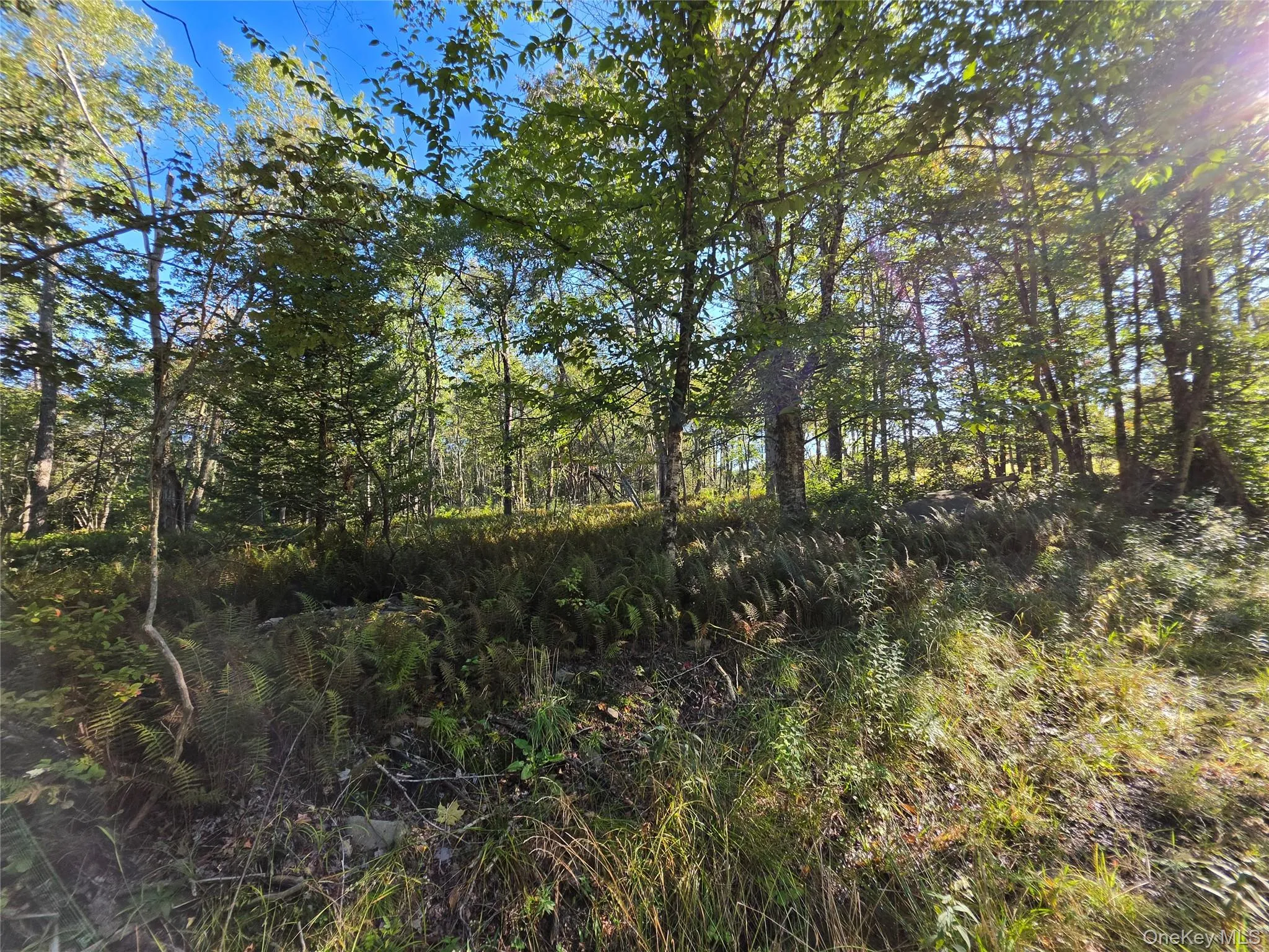 TBD Lily Pond Road, Liberty, NY, ,Land,For Rent,Lily Pond,0,1060084 TBD Lily Pond Road, Liberty, NY, ,Land,For Rent,Lily Pond,0,1060084
