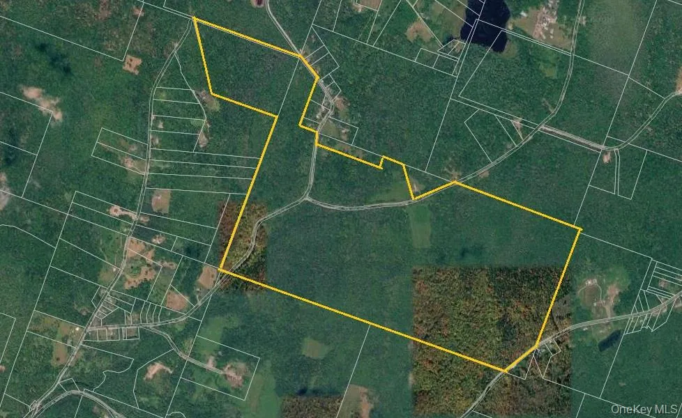 TBD Lily Pond Road, Liberty, NY, ,Land,For Rent,Lily Pond,0,1060084 TBD Lily Pond Road, Liberty, NY, ,Land,For Rent,Lily Pond,0,1060084