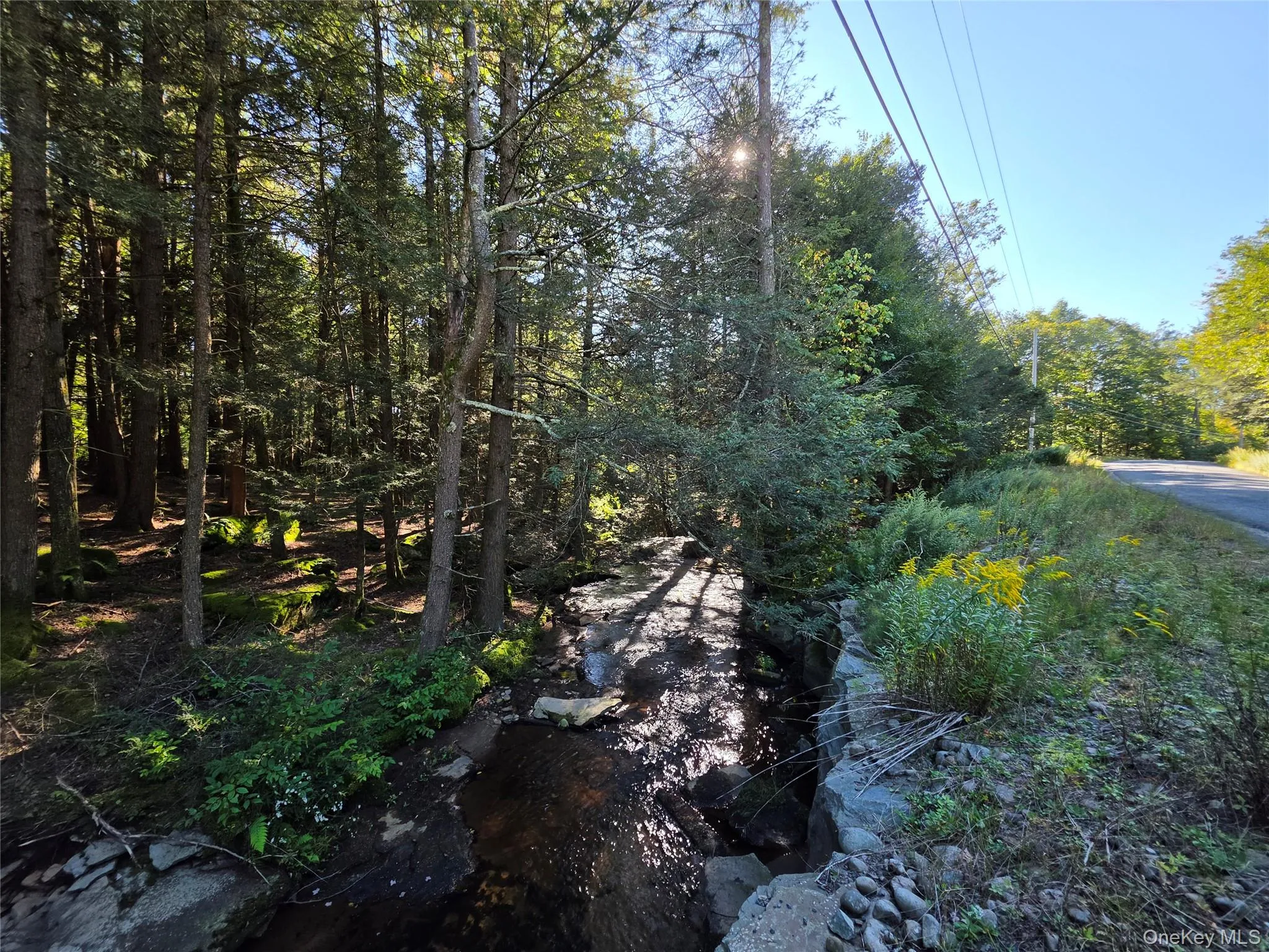 TBD Lily Pond Road, Liberty, NY, ,Land,For Rent,Lily Pond,0,1060084 TBD Lily Pond Road, Liberty, NY, ,Land,For Rent,Lily Pond,0,1060084