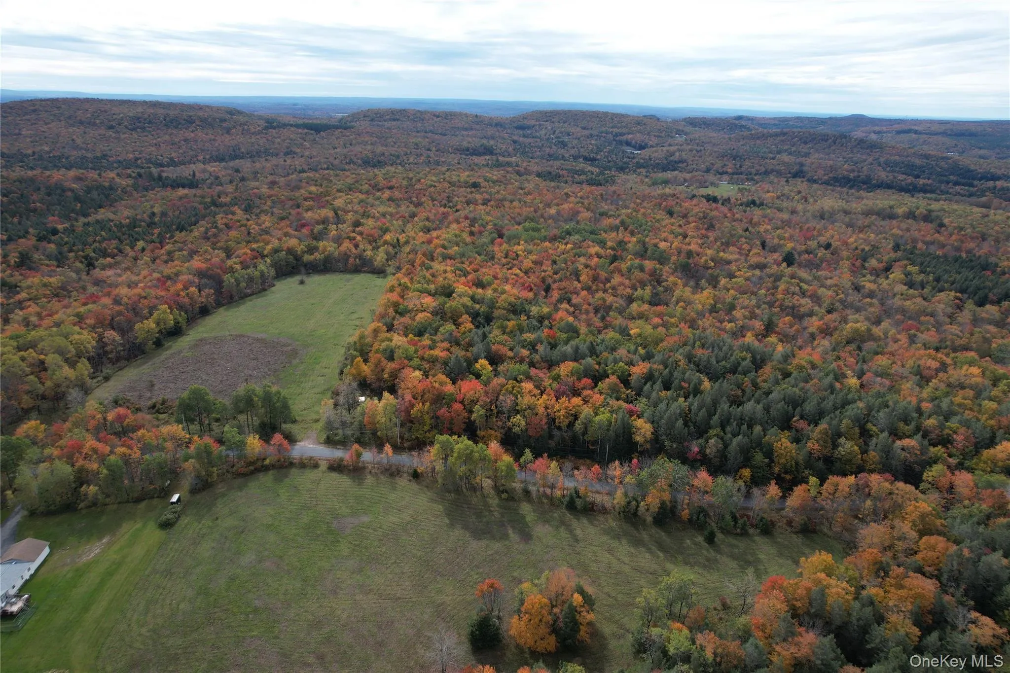 TBD Lily Pond Road, Liberty, NY, ,Land,For Rent,Lily Pond,0,1060084 TBD Lily Pond Road, Liberty, NY, ,Land,For Rent,Lily Pond,0,1060084