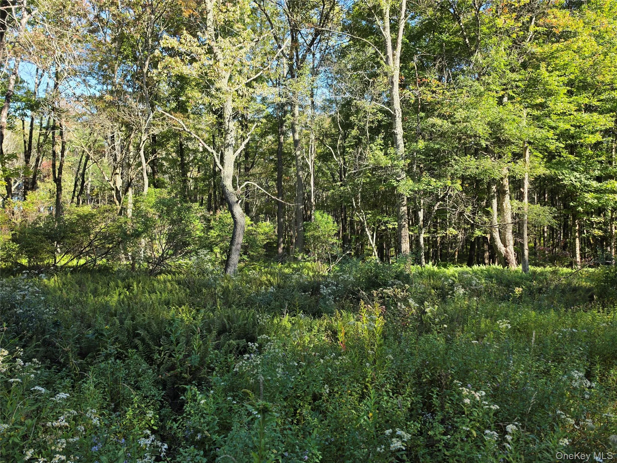 TBD Lily Pond Road, Liberty, NY, ,Land,For Rent,Lily Pond,0,1060084 TBD Lily Pond Road, Liberty, NY, ,Land,For Rent,Lily Pond,0,1060084