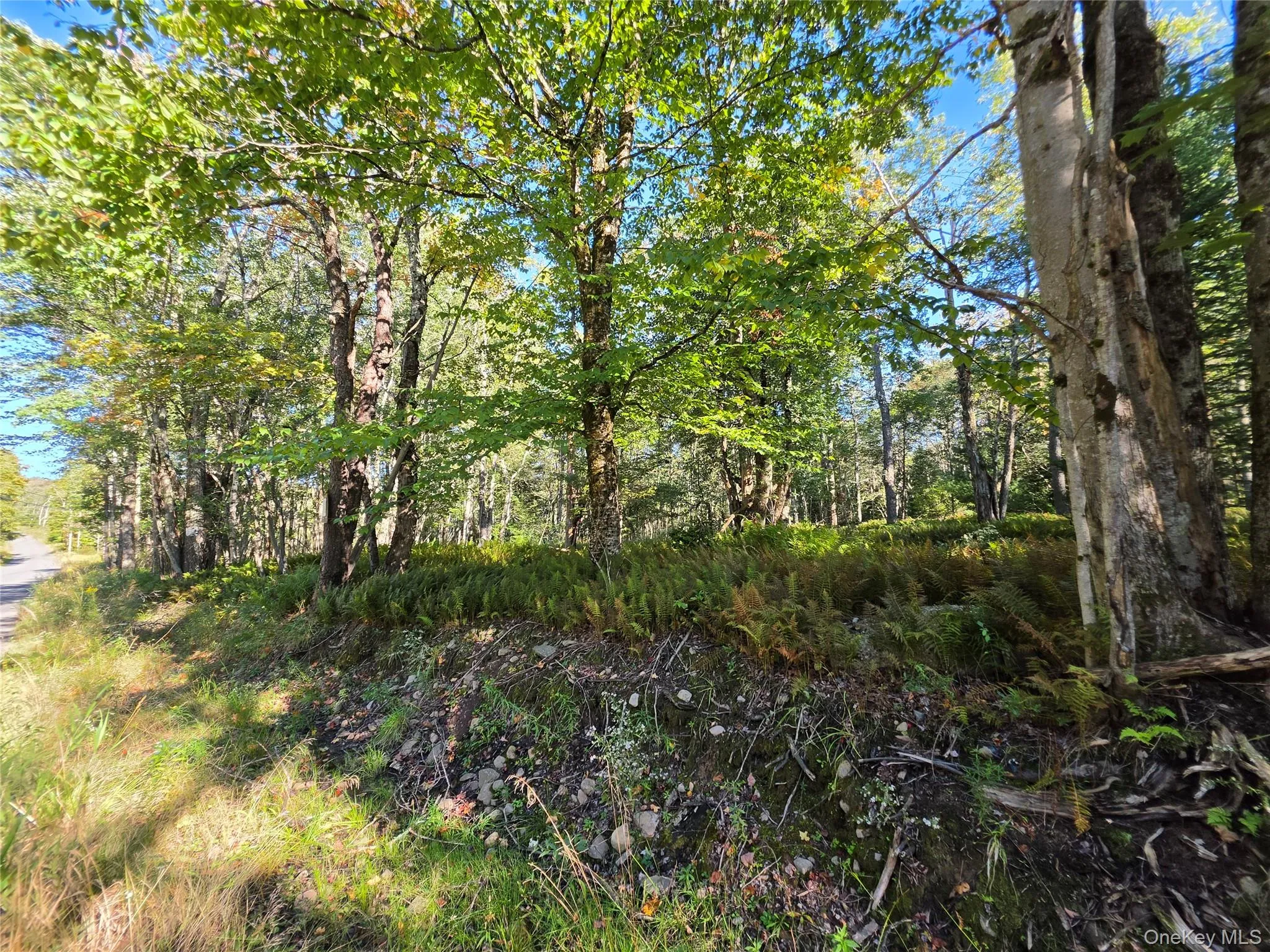 TBD Lily Pond Road, Liberty, NY, ,Land,For Rent,Lily Pond,0,1060084 TBD Lily Pond Road, Liberty, NY, ,Land,For Rent,Lily Pond,0,1060084