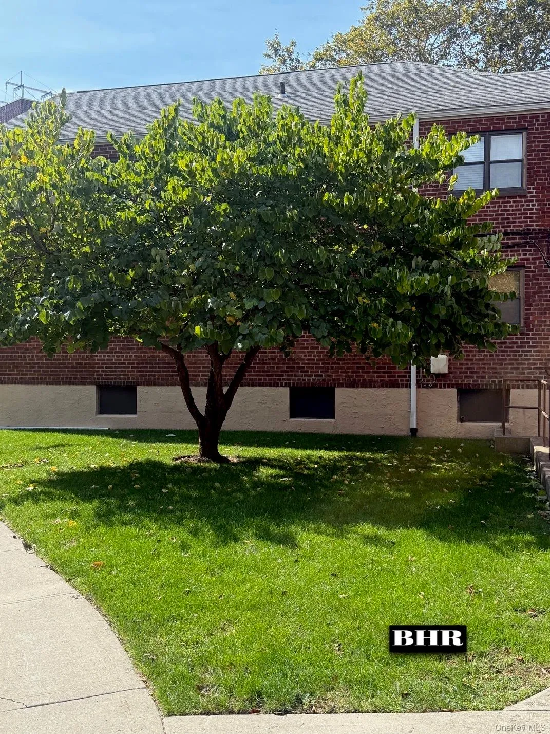 150-37 89th Street, New York, NY, 1 Bedroom Bedrooms, ,1 BathroomBathrooms,Residential,For Rent,89th,0,1060145 150-37 89th Street, New York, NY, 1 Bedroom Bedrooms, ,1 BathroomBathrooms,Residential,For Rent,89th,0,1060145