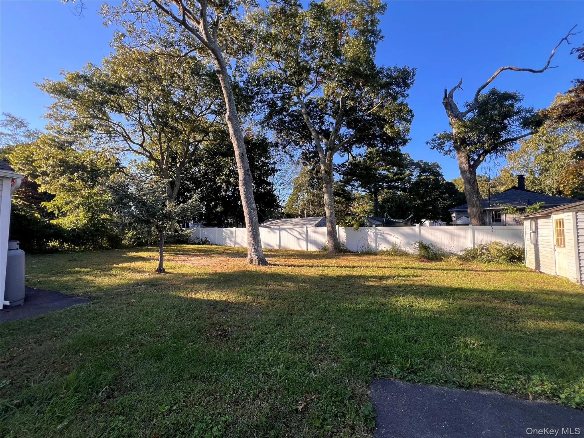 Large yard Large yard