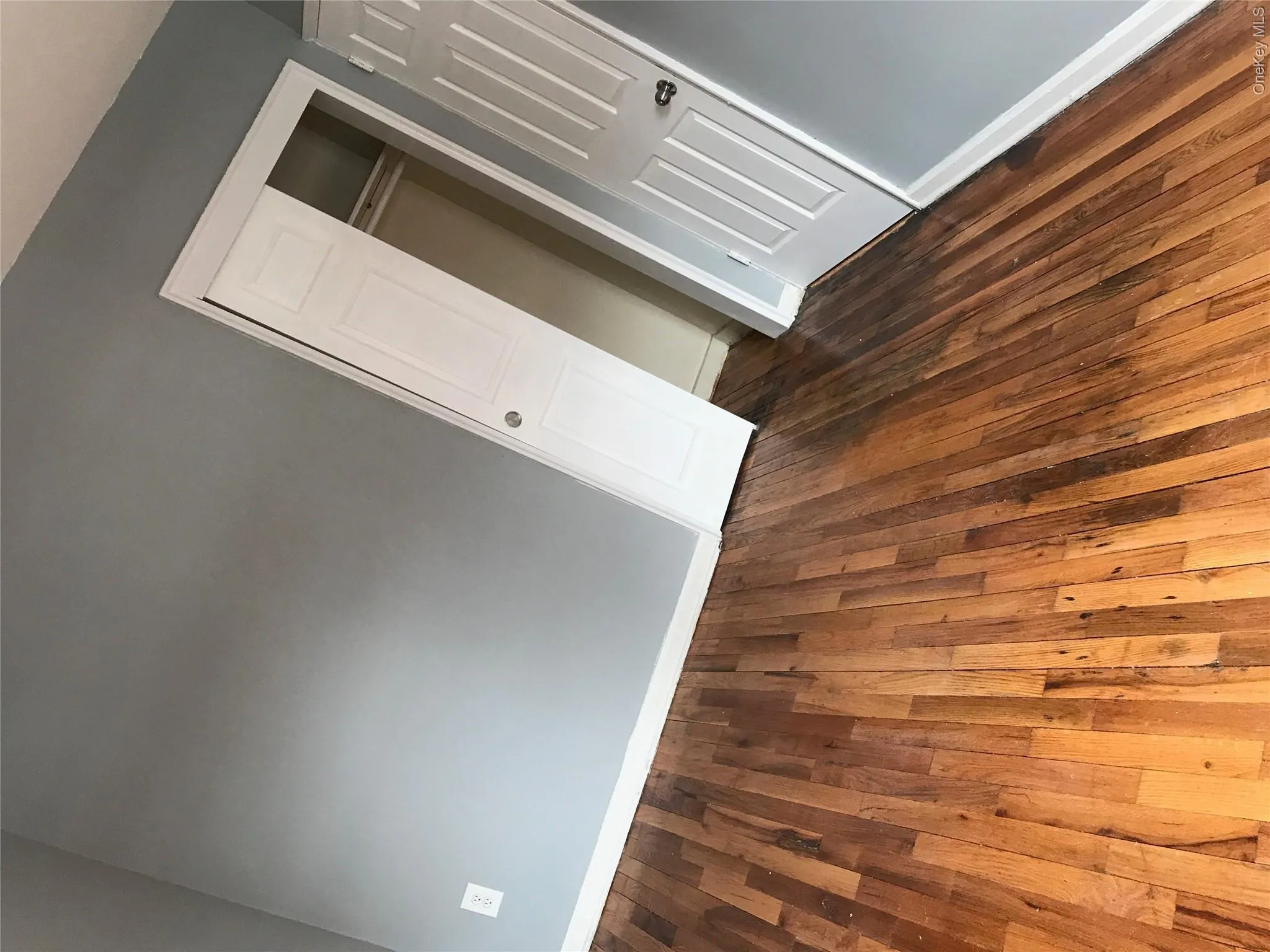3933 Wilder Avenue, New York, NY, 3 Bedrooms Bedrooms, 8 Rooms Rooms,2 BathroomsBathrooms,Residential Lease,For Rent,Wilder,0,1060161 3933 Wilder Avenue, New York, NY, 3 Bedrooms Bedrooms, 8 Rooms Rooms,2 BathroomsBathrooms,Residential Lease,For Rent,Wilder,0,1060161