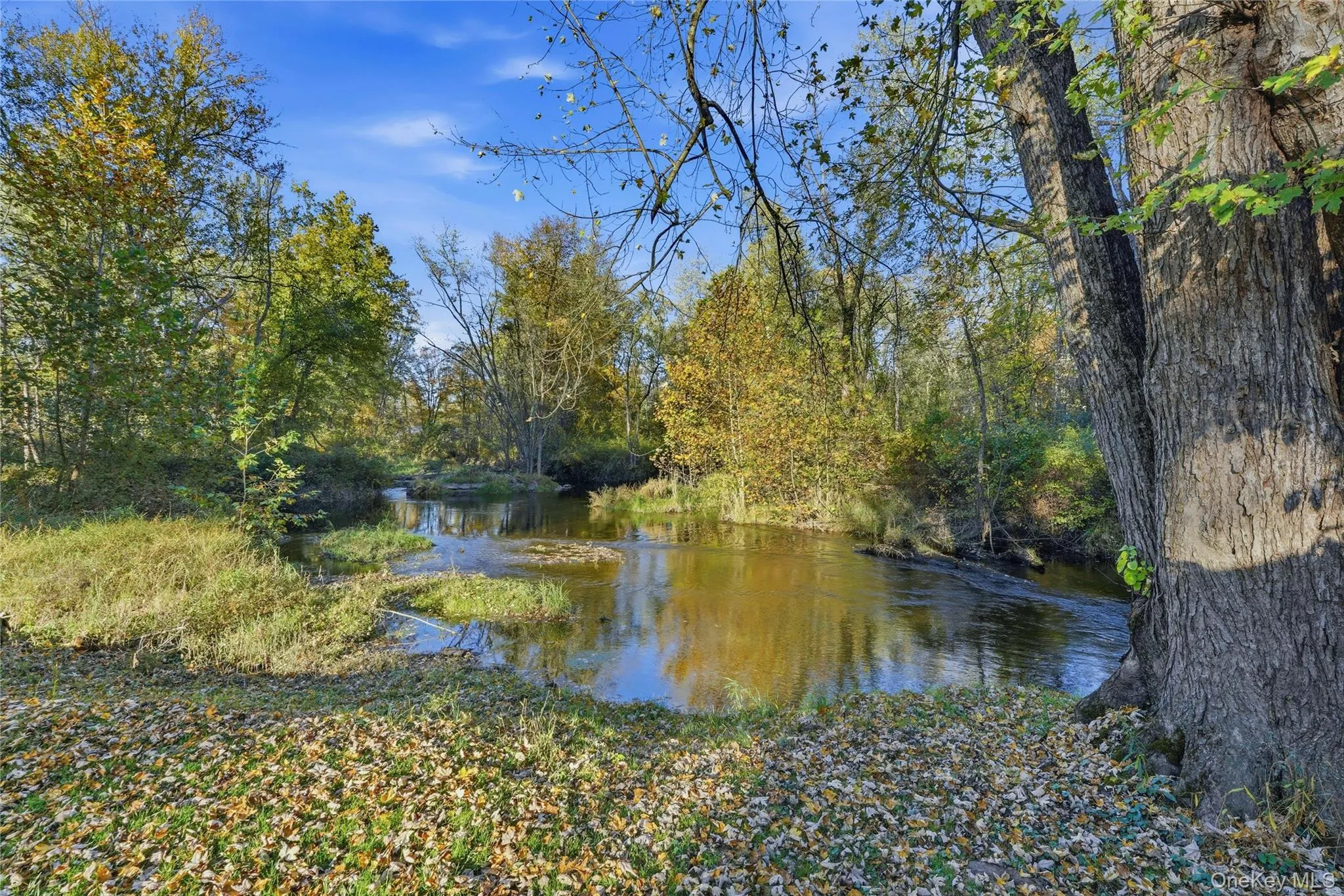 30 Lomala Road, East Fishkill, NY, 3 Bedrooms Bedrooms, 8 Rooms Rooms,2 BathroomsBathrooms,Residential,For Rent,Lomala,0,1060166 30 Lomala Road, East Fishkill, NY, 3 Bedrooms Bedrooms, 8 Rooms Rooms,2 BathroomsBathrooms,Residential,For Rent,Lomala,0,1060166