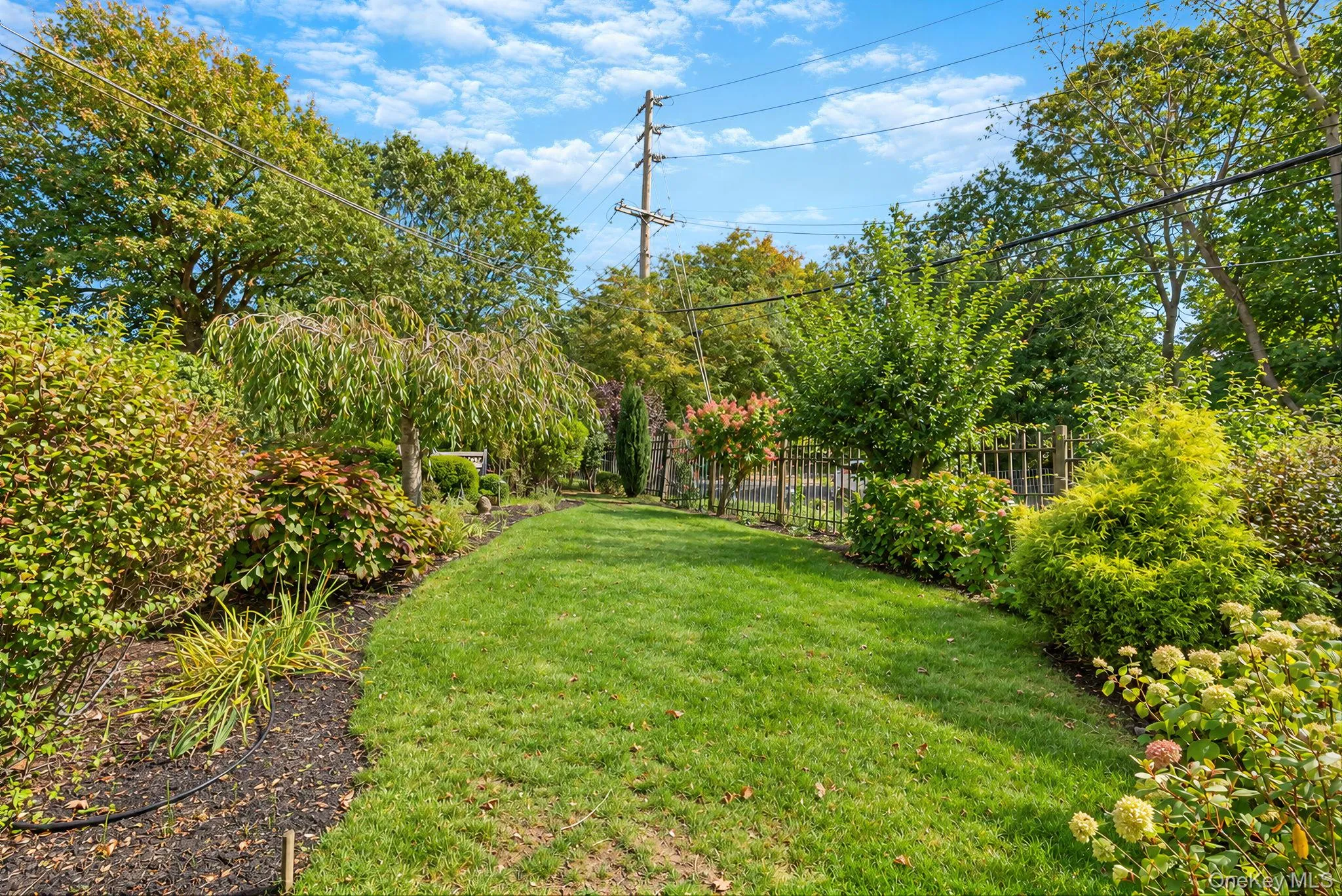 12 Collins Avenue, East Hampton, NY, 4 Bedrooms Bedrooms, 11 Rooms Rooms,3 BathroomsBathrooms,Residential,For Rent,Collins,0,1060179 12 Collins Avenue, East Hampton, NY, 4 Bedrooms Bedrooms, 11 Rooms Rooms,3 BathroomsBathrooms,Residential,For Rent,Collins,0,1060179