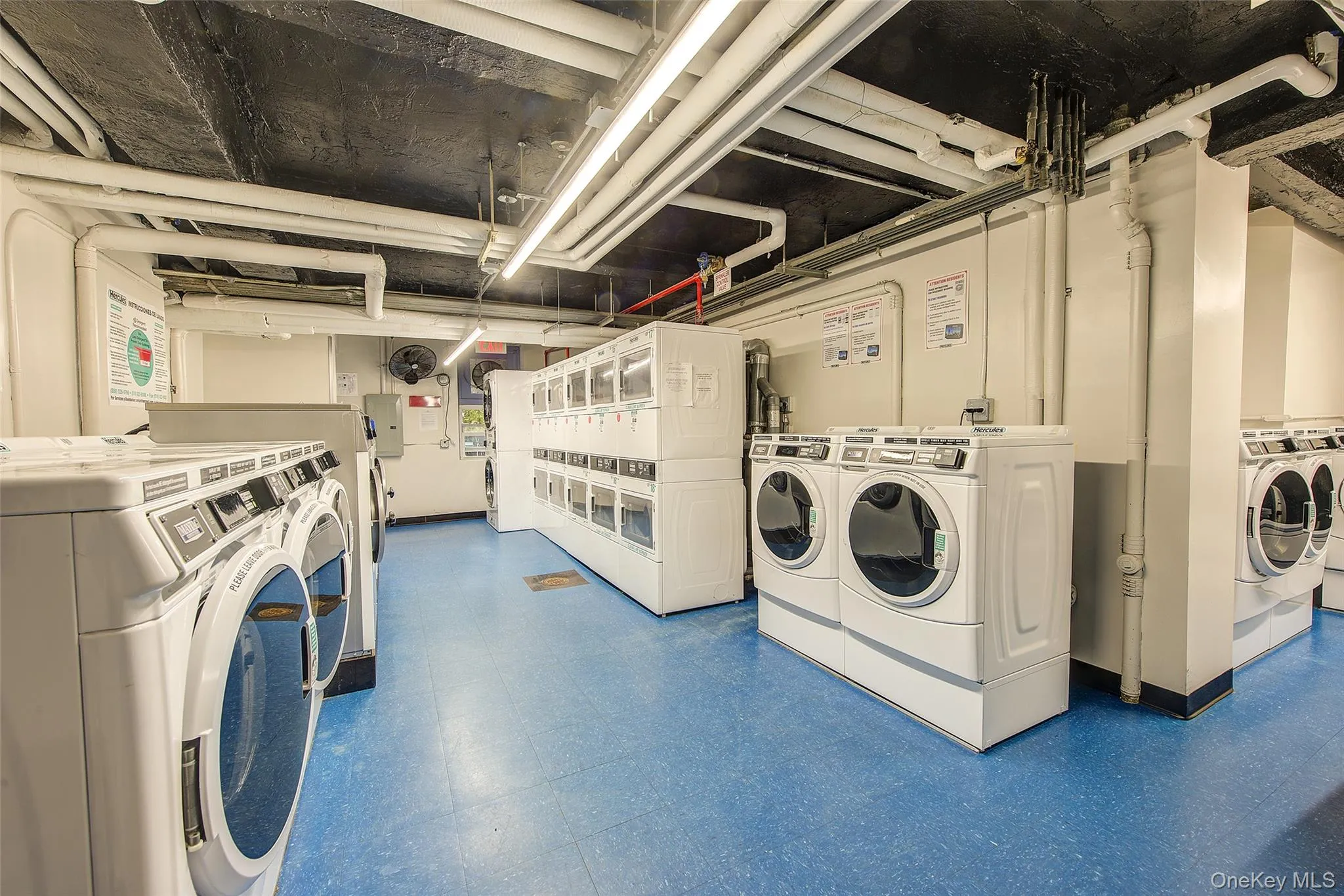 110-20 71 Avenue, New York, NY, 1 Bedroom Bedrooms, 3 Rooms Rooms,1 BathroomBathrooms,Residential,For Rent,71,0,1060186 110-20 71 Avenue, New York, NY, 1 Bedroom Bedrooms, 3 Rooms Rooms,1 BathroomBathrooms,Residential,For Rent,71,0,1060186