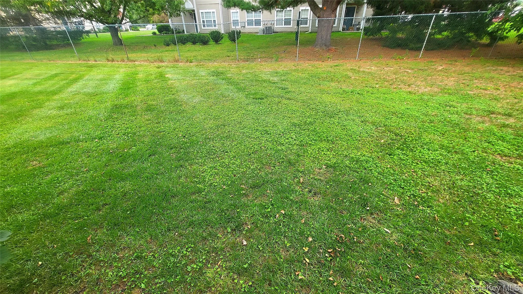Backyard Backyard
