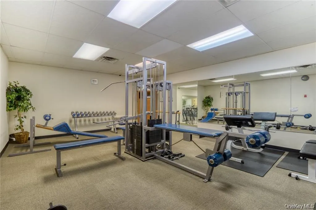 Gym Gym