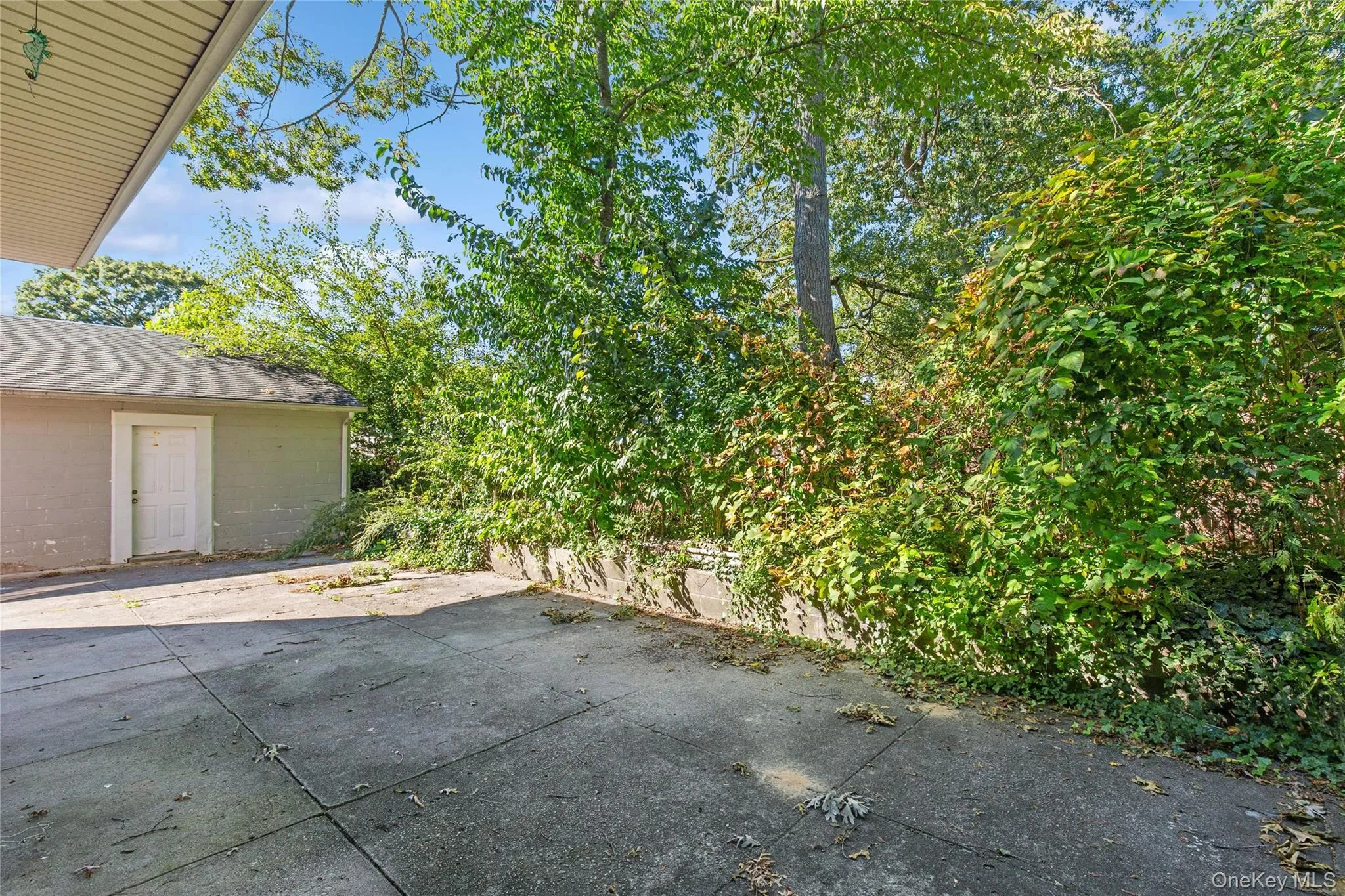 9 Plandome Place, Brookhaven, NY, 3 Bedrooms Bedrooms, 7 Rooms Rooms,2 BathroomsBathrooms,Residential,For Rent,Plandome,0,1060244 9 Plandome Place, Brookhaven, NY, 3 Bedrooms Bedrooms, 7 Rooms Rooms,2 BathroomsBathrooms,Residential,For Rent,Plandome,0,1060244