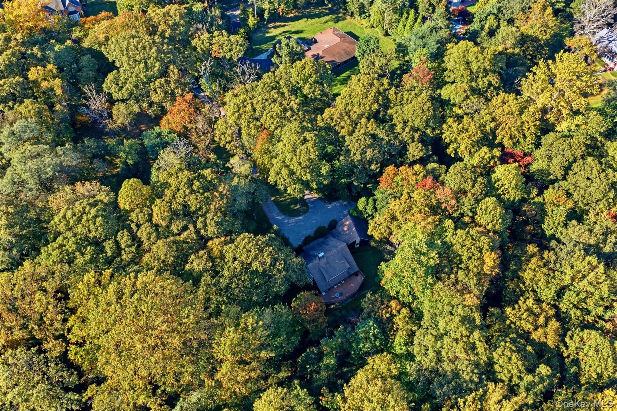 Aerial View Aerial View
