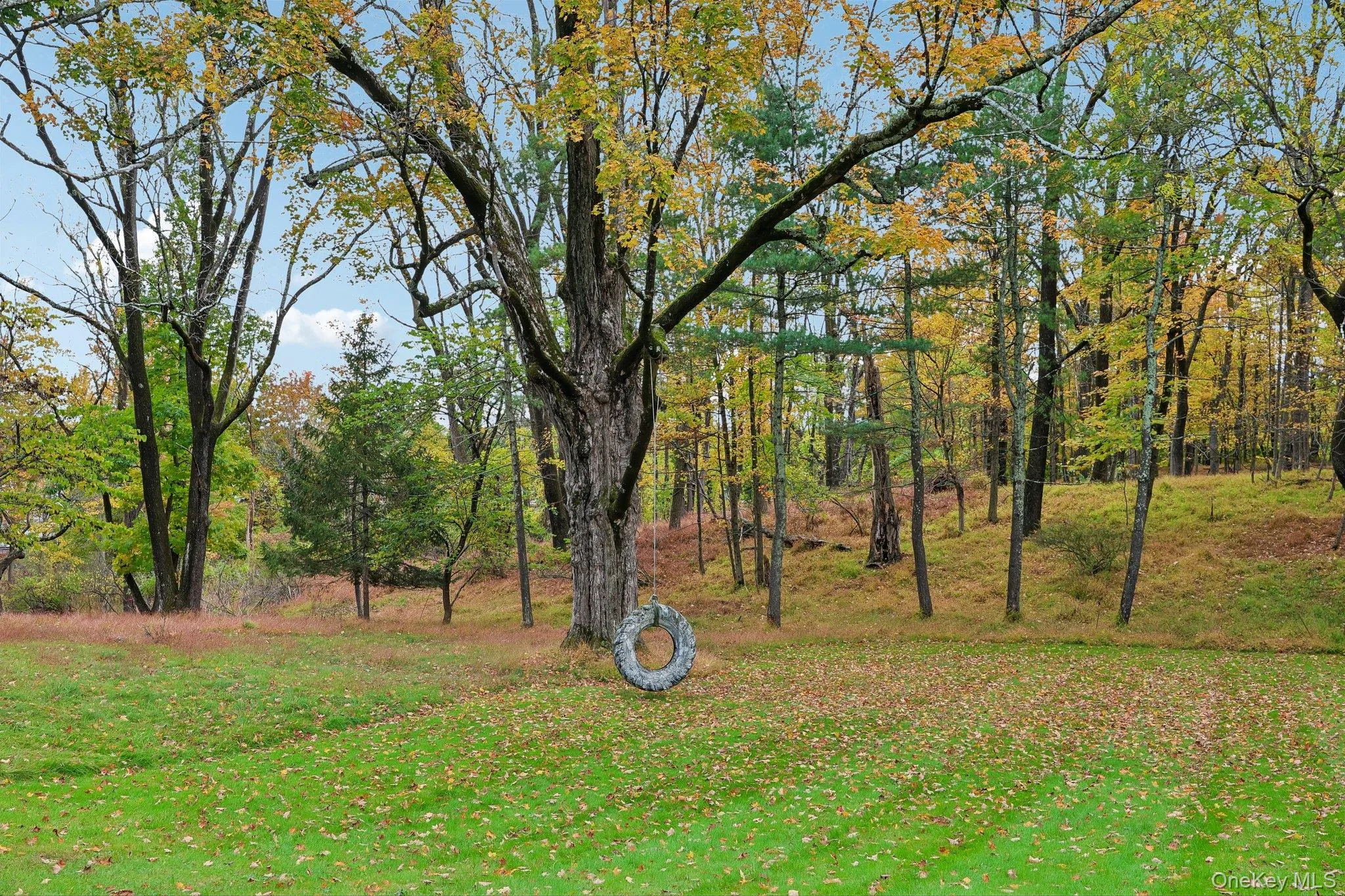 59 Webb Road, Wallkill, NY, 5 Bedrooms Bedrooms, 14 Rooms Rooms,5 BathroomsBathrooms,Residential,For Rent,Webb,0,1060361 59 Webb Road, Wallkill, NY, 5 Bedrooms Bedrooms, 14 Rooms Rooms,5 BathroomsBathrooms,Residential,For Rent,Webb,0,1060361