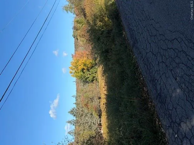 11 Willey Avenue, Liberty, NY, 2 Bedroom Bedrooms, 5 Room Rooms,1 BathroomBathrooms,Residential Lease,For Rent,Willey,0,1060433 11 Willey Avenue, Liberty, NY, 2 Bedroom Bedrooms, 5 Room Rooms,1 BathroomBathrooms,Residential Lease,For Rent,Willey,0,1060433