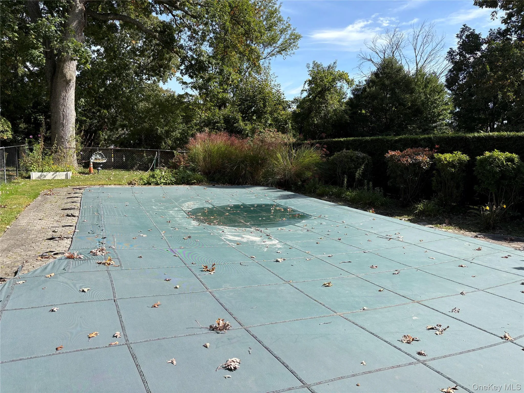 265 Jennings Avenue, Brookhaven, NY, 6 Bedrooms Bedrooms, 13 Rooms Rooms,4 BathroomsBathrooms,Residential,For Rent,Jennings,0,1060454 265 Jennings Avenue, Brookhaven, NY, 6 Bedrooms Bedrooms, 13 Rooms Rooms,4 BathroomsBathrooms,Residential,For Rent,Jennings,0,1060454