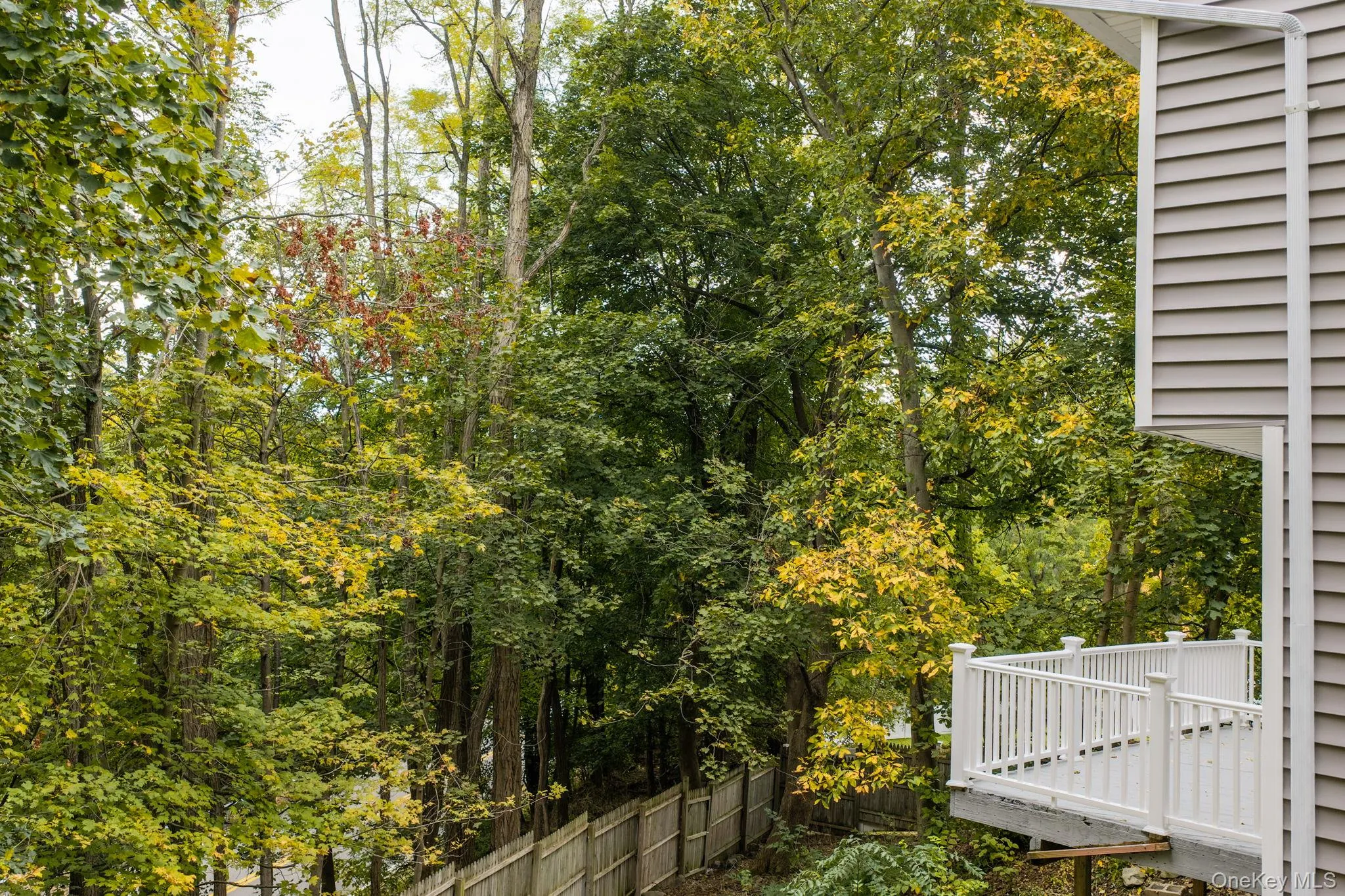 28 Wilson Place, Cornwall, NY, 3 Bedrooms Bedrooms, 6 Rooms Rooms,1 BathroomBathrooms,Residential,For Rent,Wilson,0,1060562 28 Wilson Place, Cornwall, NY, 3 Bedrooms Bedrooms, 6 Rooms Rooms,1 BathroomBathrooms,Residential,For Rent,Wilson,0,1060562