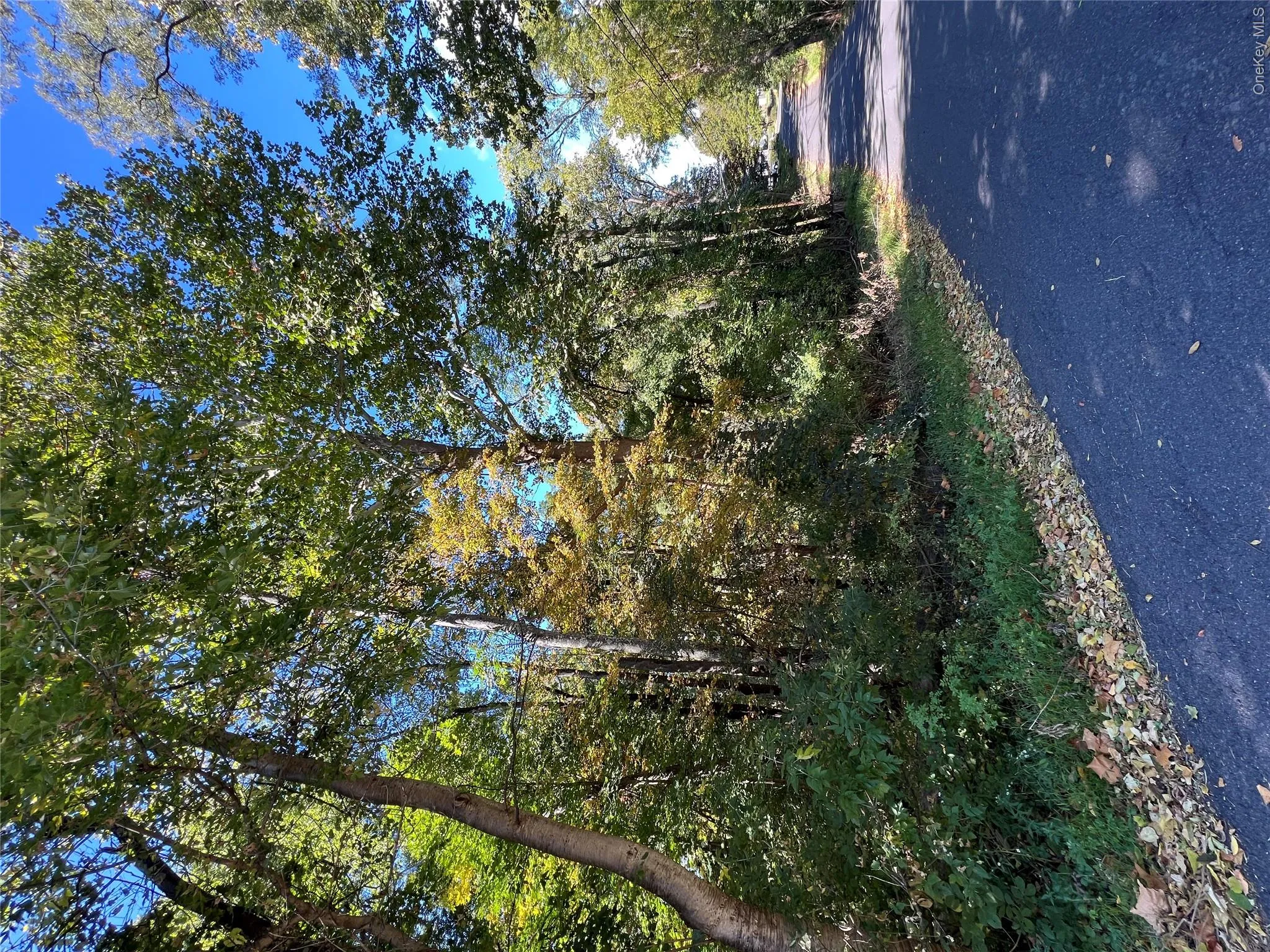 161 Market Street, Rhinebeck, NY, ,Land,For Rent,Market,0,1060603 161 Market Street, Rhinebeck, NY, ,Land,For Rent,Market,0,1060603