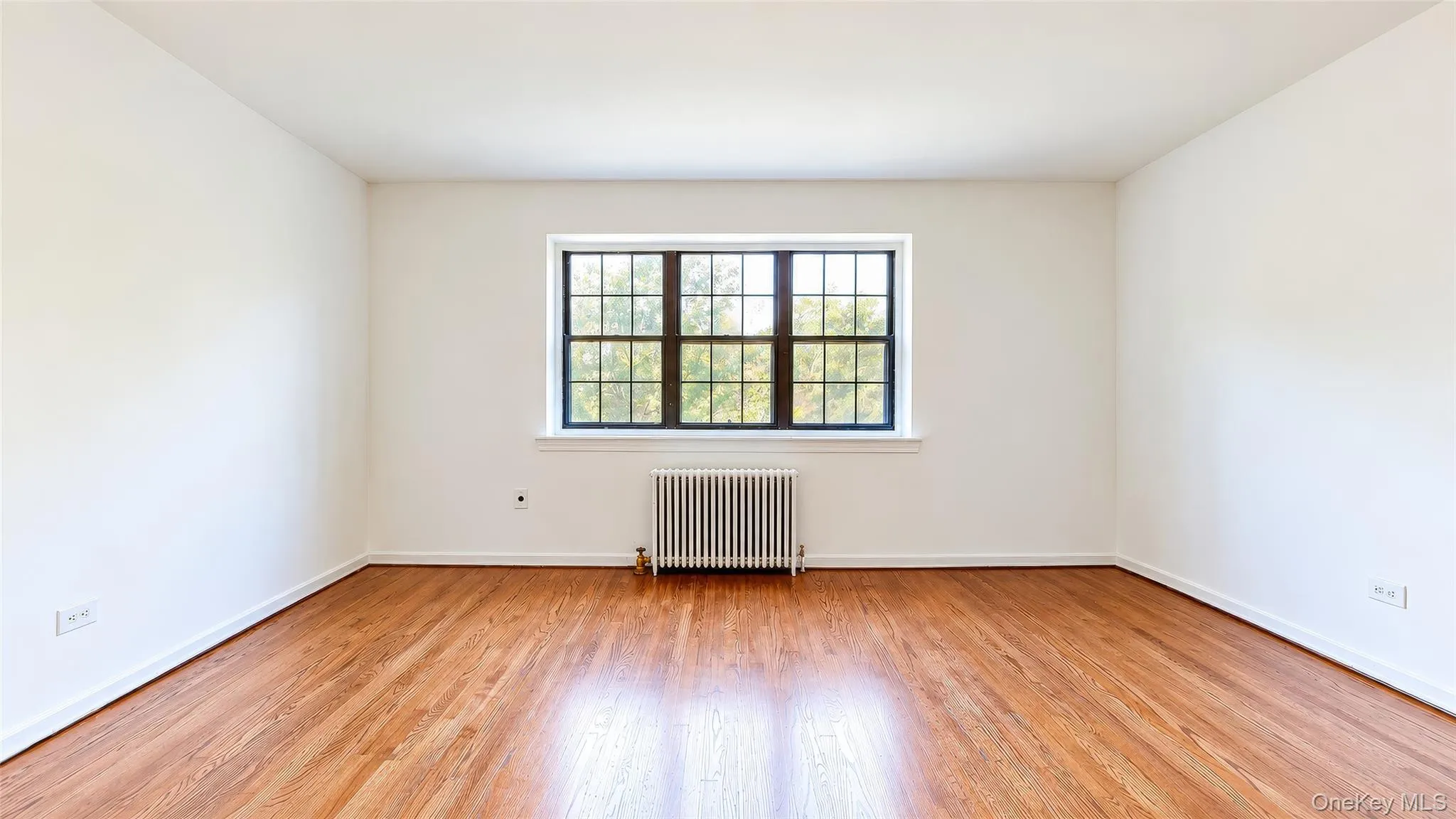 78-43 147th Street, New York, NY, 2 Bedrooms Bedrooms, 5 Rooms Rooms,1 BathroomBathrooms,Residential,For Rent,147th,0,1060633 78-43 147th Street, New York, NY, 2 Bedrooms Bedrooms, 5 Rooms Rooms,1 BathroomBathrooms,Residential,For Rent,147th,0,1060633
