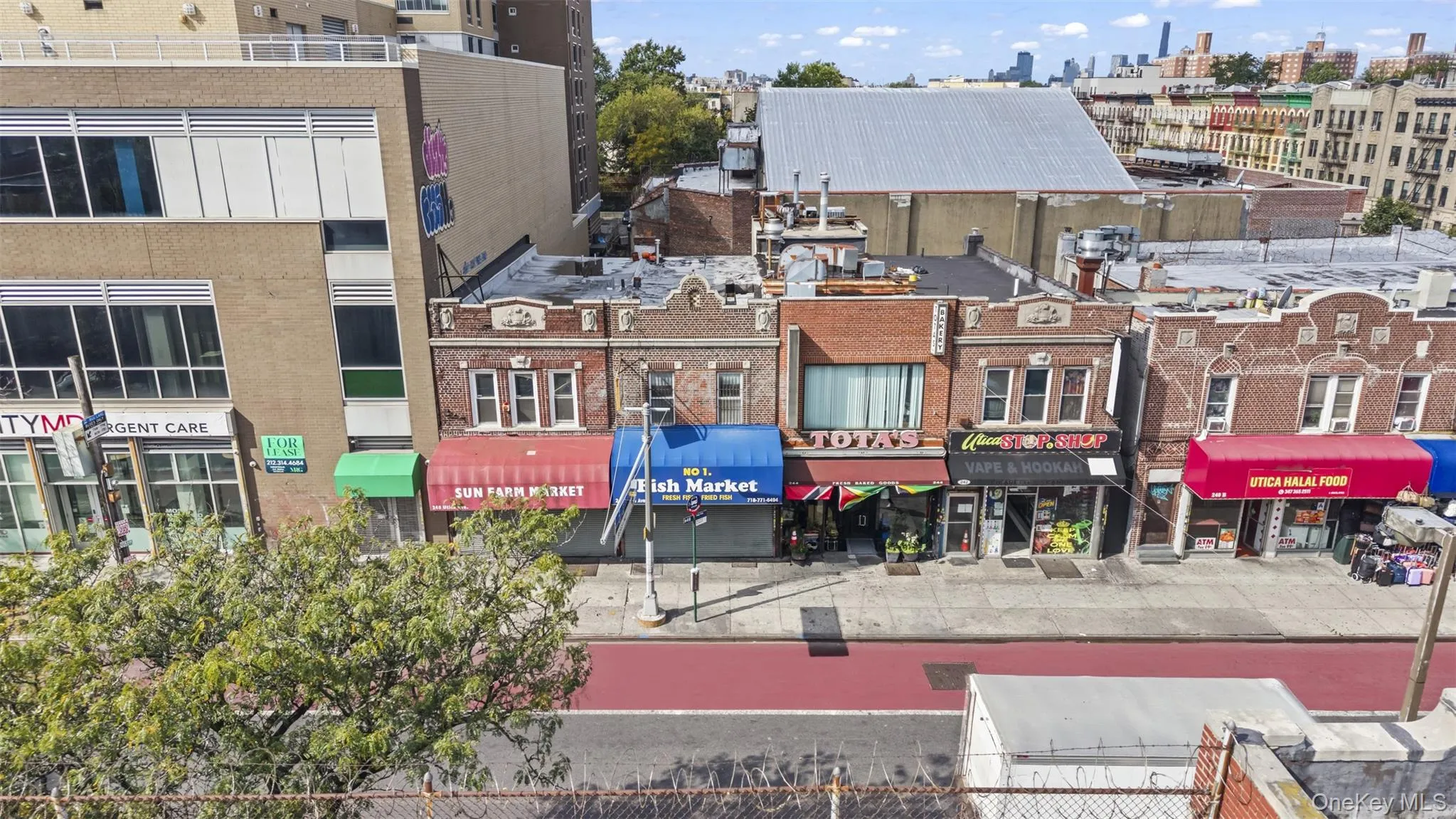 246 Utica Avenue, New York, NY, ,Commercial Lease,For Rent,Utica,0,1060667 246 Utica Avenue, New York, NY, ,Commercial Lease,For Rent,Utica,0,1060667