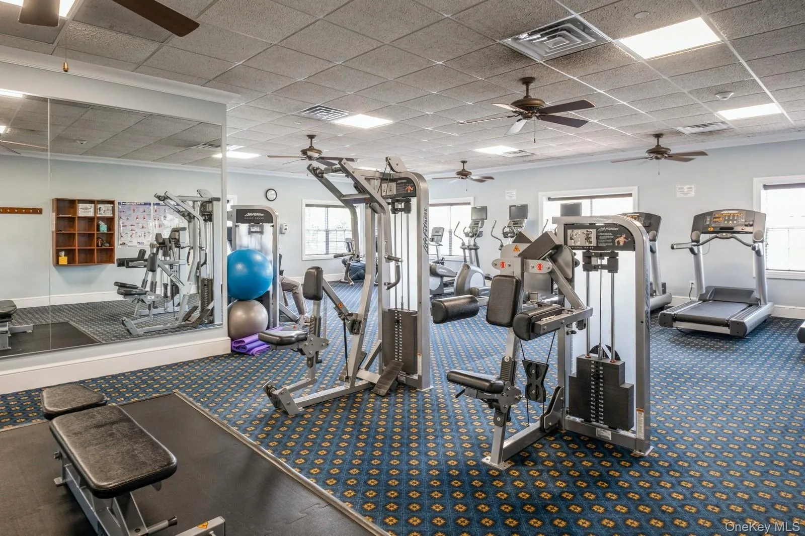 Community Gym Community Gym