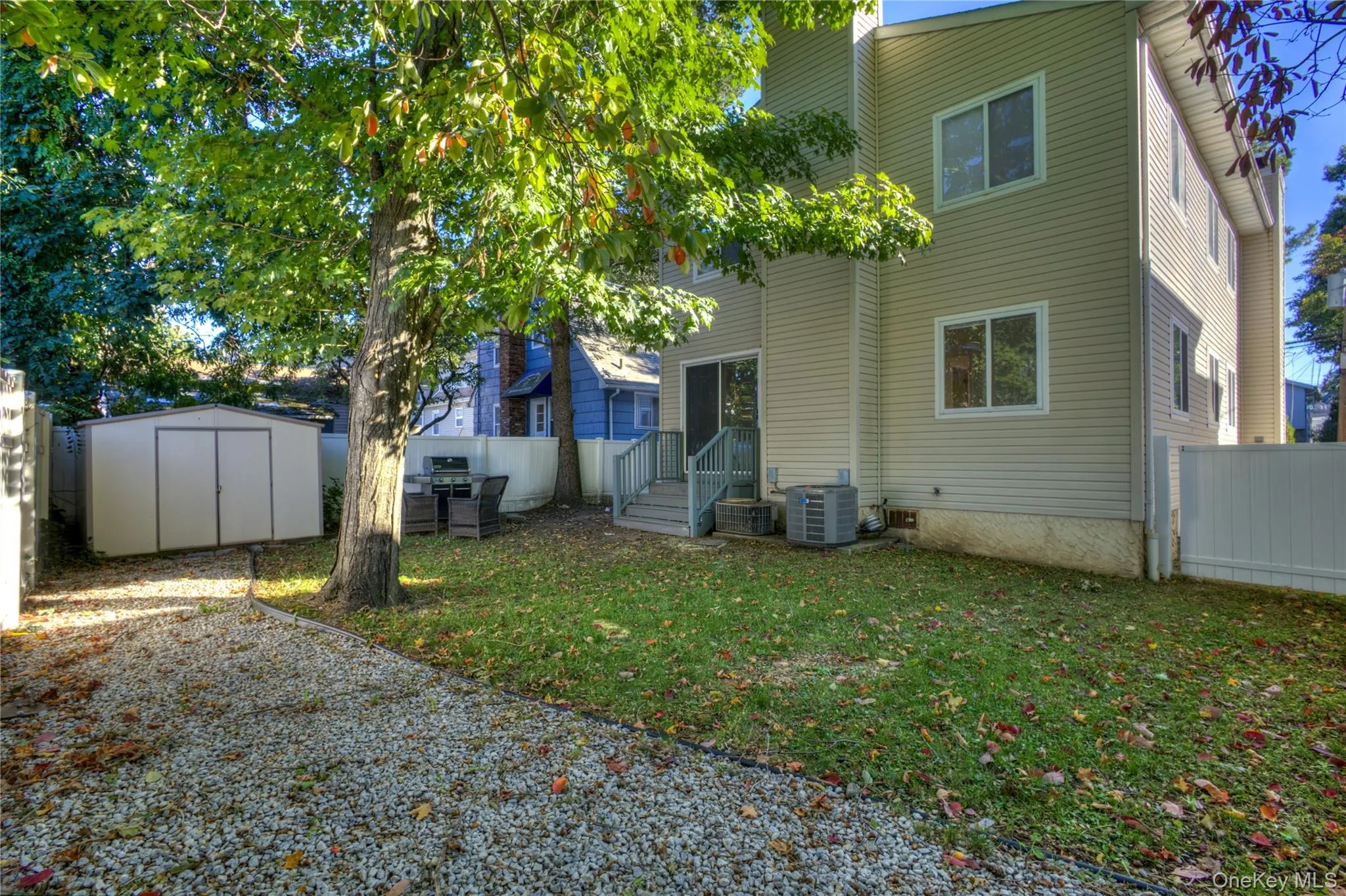 Shared Yard Shared Yard