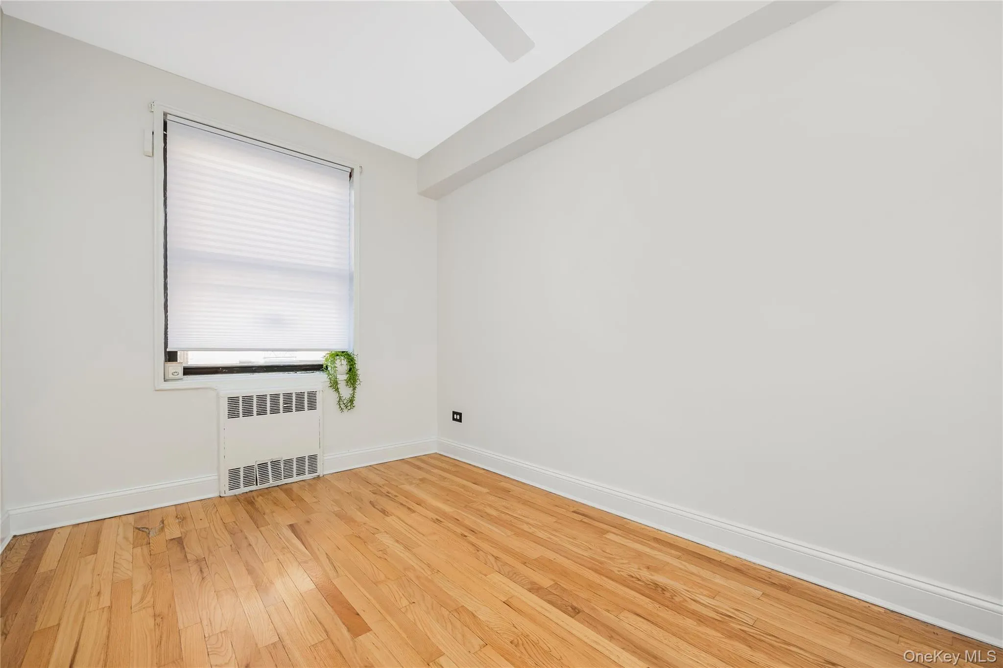 150-11 72nd Road, New York, NY, 2 Bedrooms Bedrooms, 5 Rooms Rooms,1 BathroomBathrooms,Residential,For Rent,72nd,0,1060832 150-11 72nd Road, New York, NY, 2 Bedrooms Bedrooms, 5 Rooms Rooms,1 BathroomBathrooms,Residential,For Rent,72nd,0,1060832