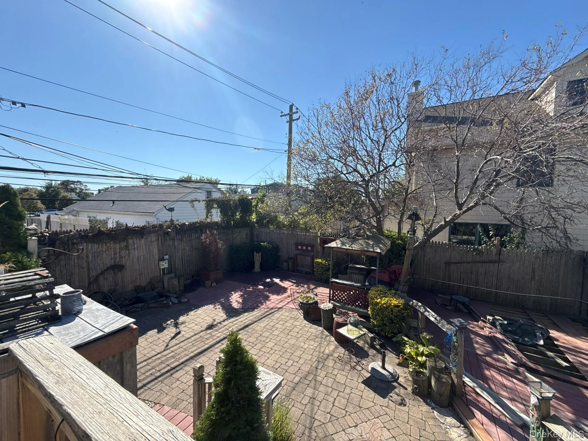 Backyard Backyard