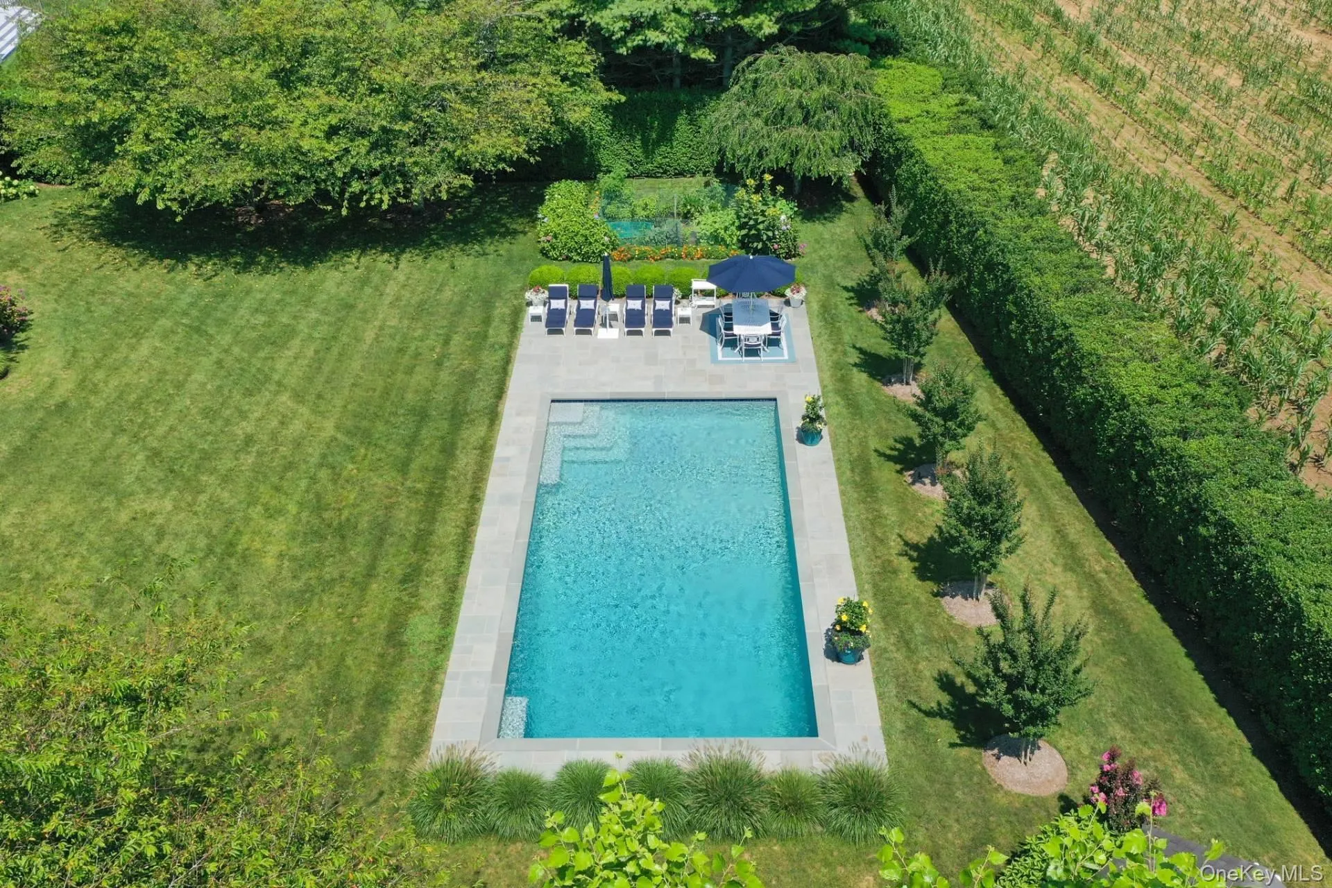 9 Millfarm Lane, Southampton, NY, 4 Bedrooms Bedrooms, 9 Rooms Rooms,5 BathroomsBathrooms,Residential,For Rent,Millfarm,0,1060873 9 Millfarm Lane, Southampton, NY, 4 Bedrooms Bedrooms, 9 Rooms Rooms,5 BathroomsBathrooms,Residential,For Rent,Millfarm,0,1060873