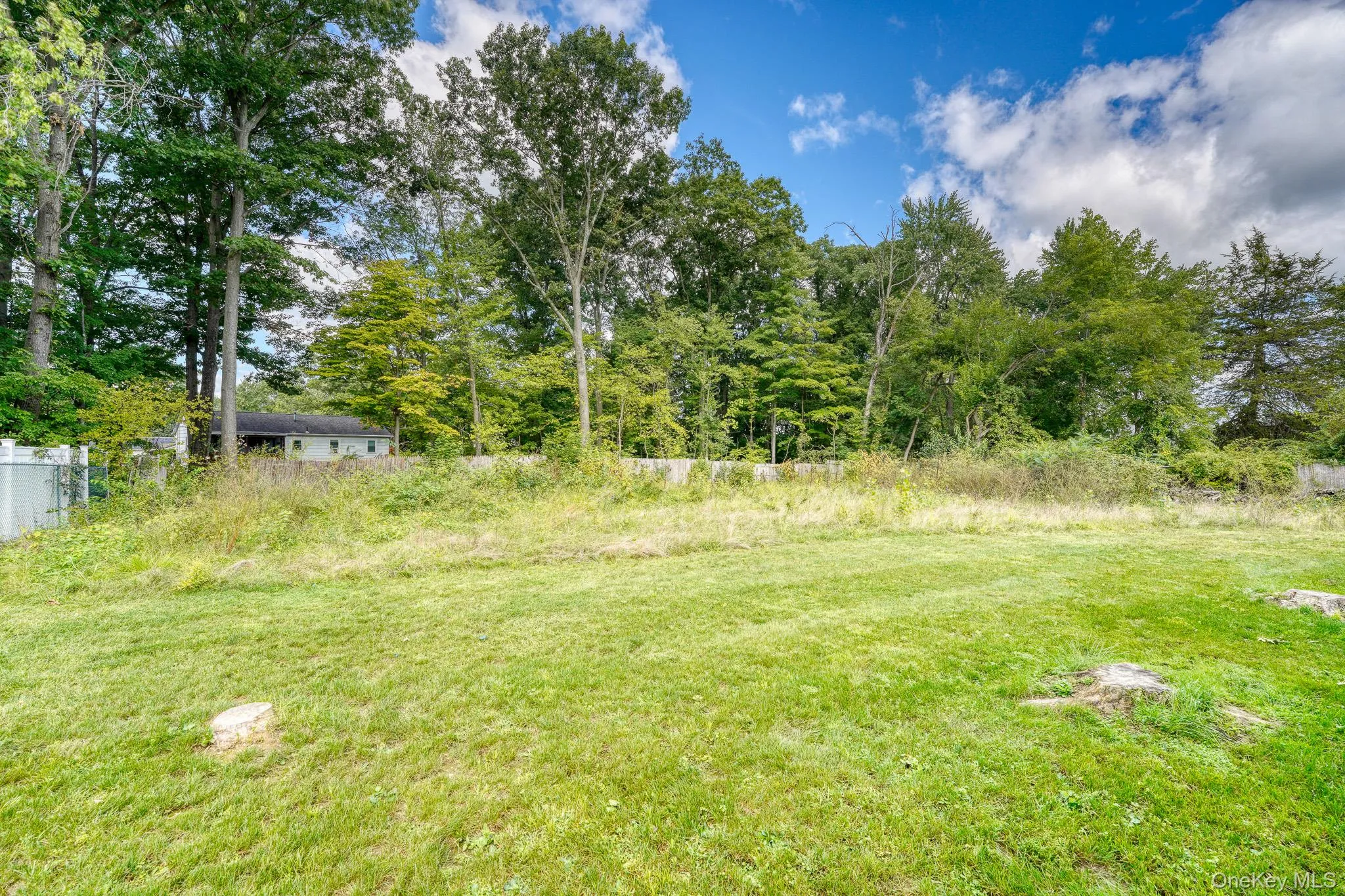 Peaceful backyard view featuring a lush green lawn bordered by mature trees and natural foliage. The wooded backdrop provides privacy and a serene atmosphere, perfect for enjoying nature or creating a garden oasis. The mix of open grass and shaded areas offers versatility for outdoor activities and relaxation. Peaceful backyard view featuring a lush green lawn bordered by mature trees and natural foliage. The wooded backdrop provides privacy and a serene atmosphere, perfect for enjoying nature or creating a garden oasis. The mix of open grass and shaded areas offers versatility for outdoor activities and relaxation.