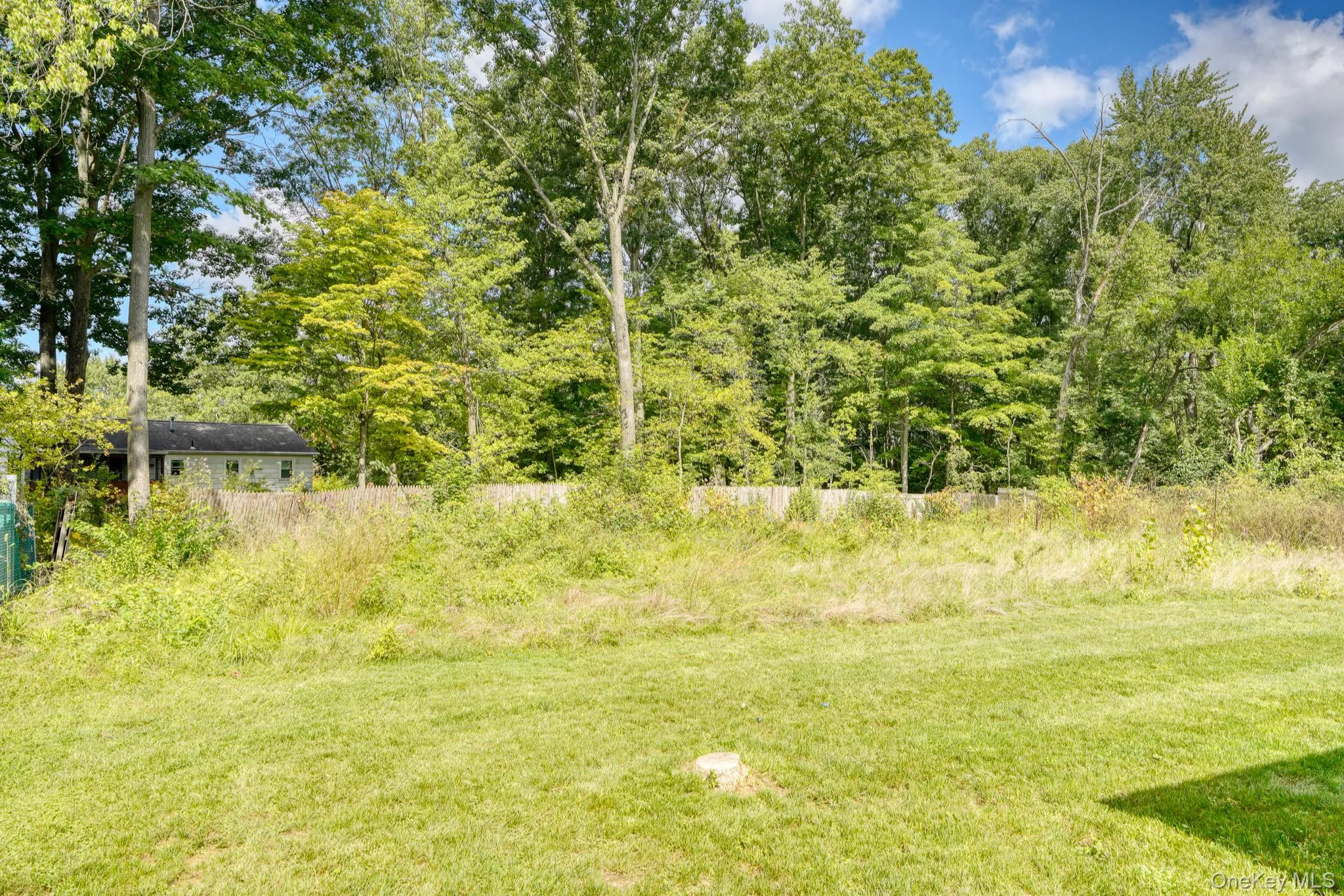 Expansive backyard surrounded by tall trees and natural greenery, offering a tranquil, park-like setting. The open grassy area transitions into a wooded perimeter, creating a sense of seclusion and connection to nature. Ideal for outdoor recreation, landscaping projects, or simply appreciating the scenic beauty of the property. Expansive backyard surrounded by tall trees and natural greenery, offering a tranquil, park-like setting. The open grassy area transitions into a wooded perimeter, creating a sense of seclusion and connection to nature. Ideal for outdoor recreation, landscaping projects, or simply appreciating the scenic beauty of the property.
