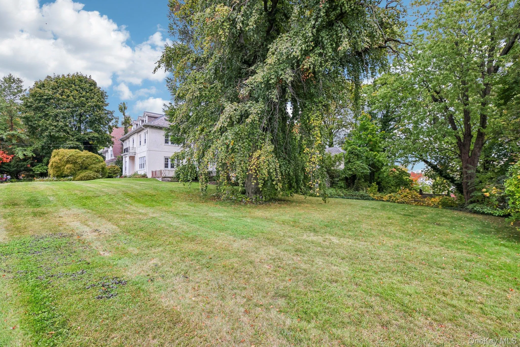131 Esplanade, Mount Vernon, NY, 6 Bedrooms Bedrooms, 12 Rooms Rooms,5 BathroomsBathrooms,Residential,For Rent,Esplanade,0,1060917 131 Esplanade, Mount Vernon, NY, 6 Bedrooms Bedrooms, 12 Rooms Rooms,5 BathroomsBathrooms,Residential,For Rent,Esplanade,0,1060917