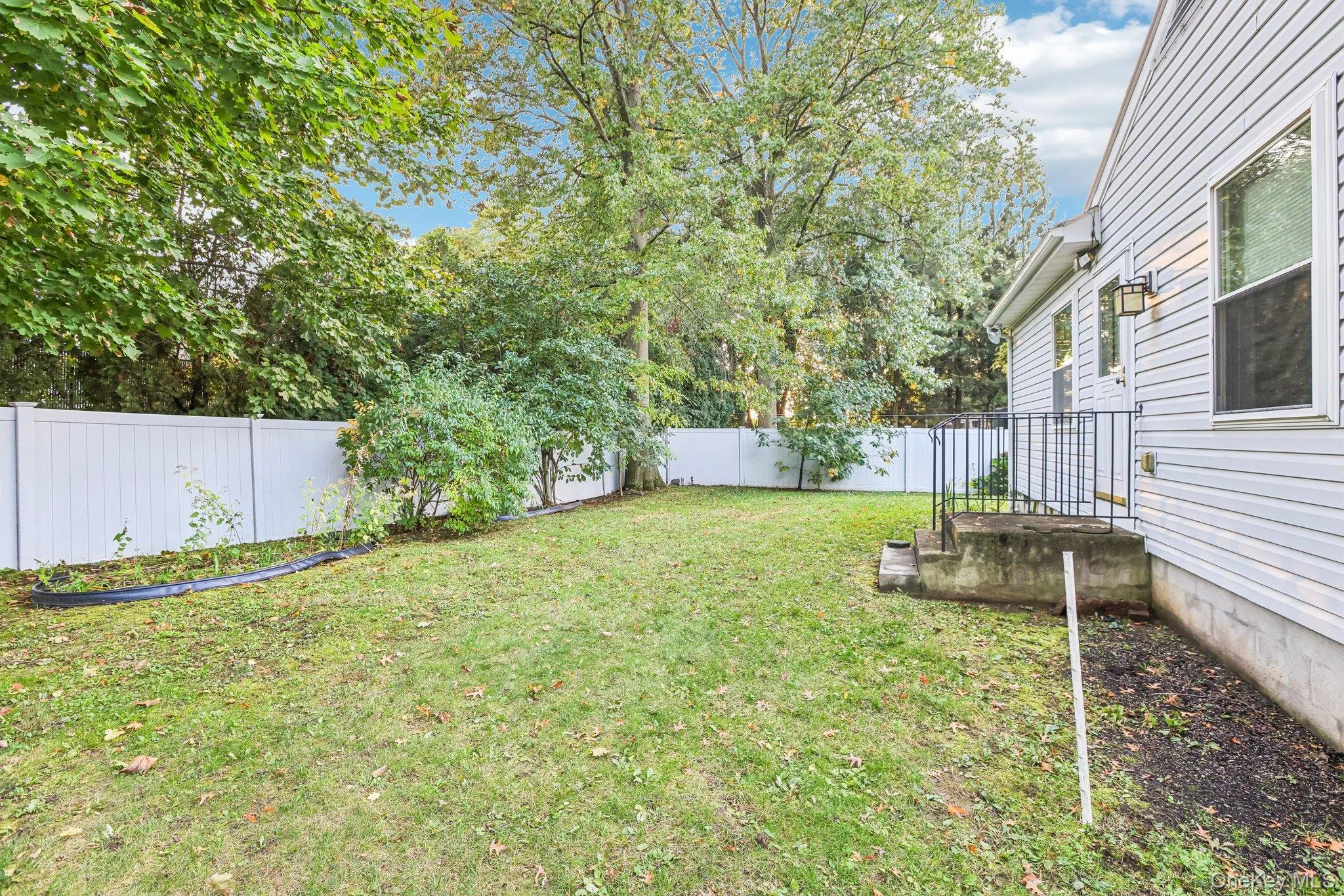 Side yard Side yard
