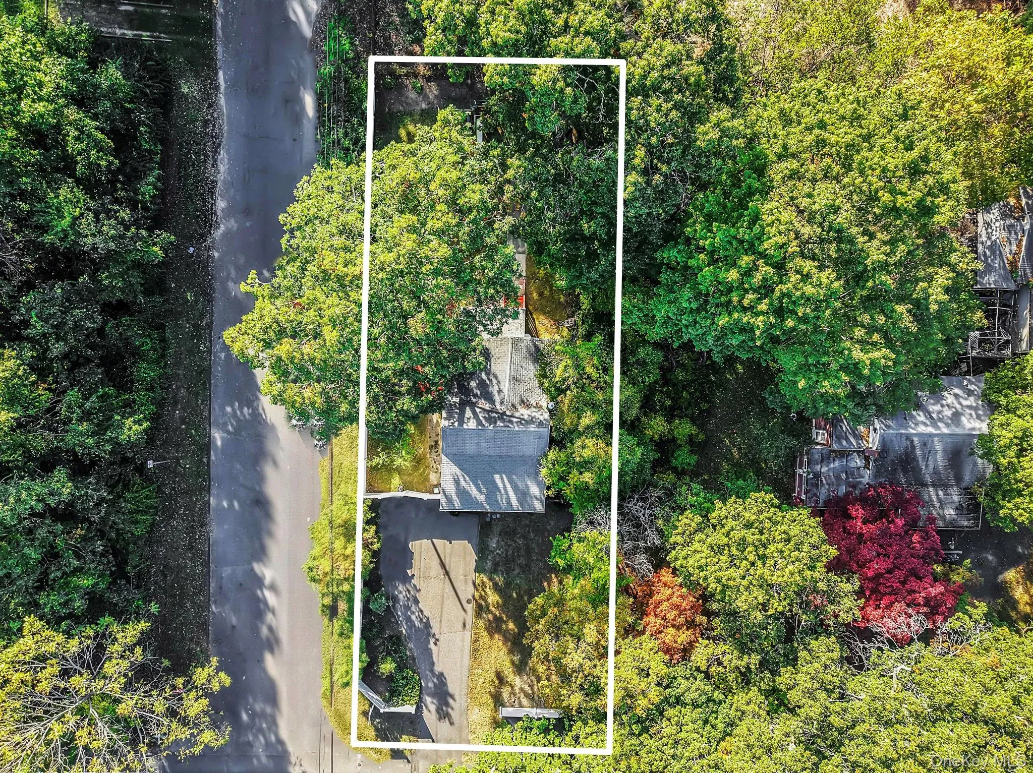 60 Evergreen Drive, Brookhaven, NY, 3 Bedrooms Bedrooms, 8 Rooms Rooms,1 BathroomBathrooms,Residential,For Rent,Evergreen,0,1060946 60 Evergreen Drive, Brookhaven, NY, 3 Bedrooms Bedrooms, 8 Rooms Rooms,1 BathroomBathrooms,Residential,For Rent,Evergreen,0,1060946