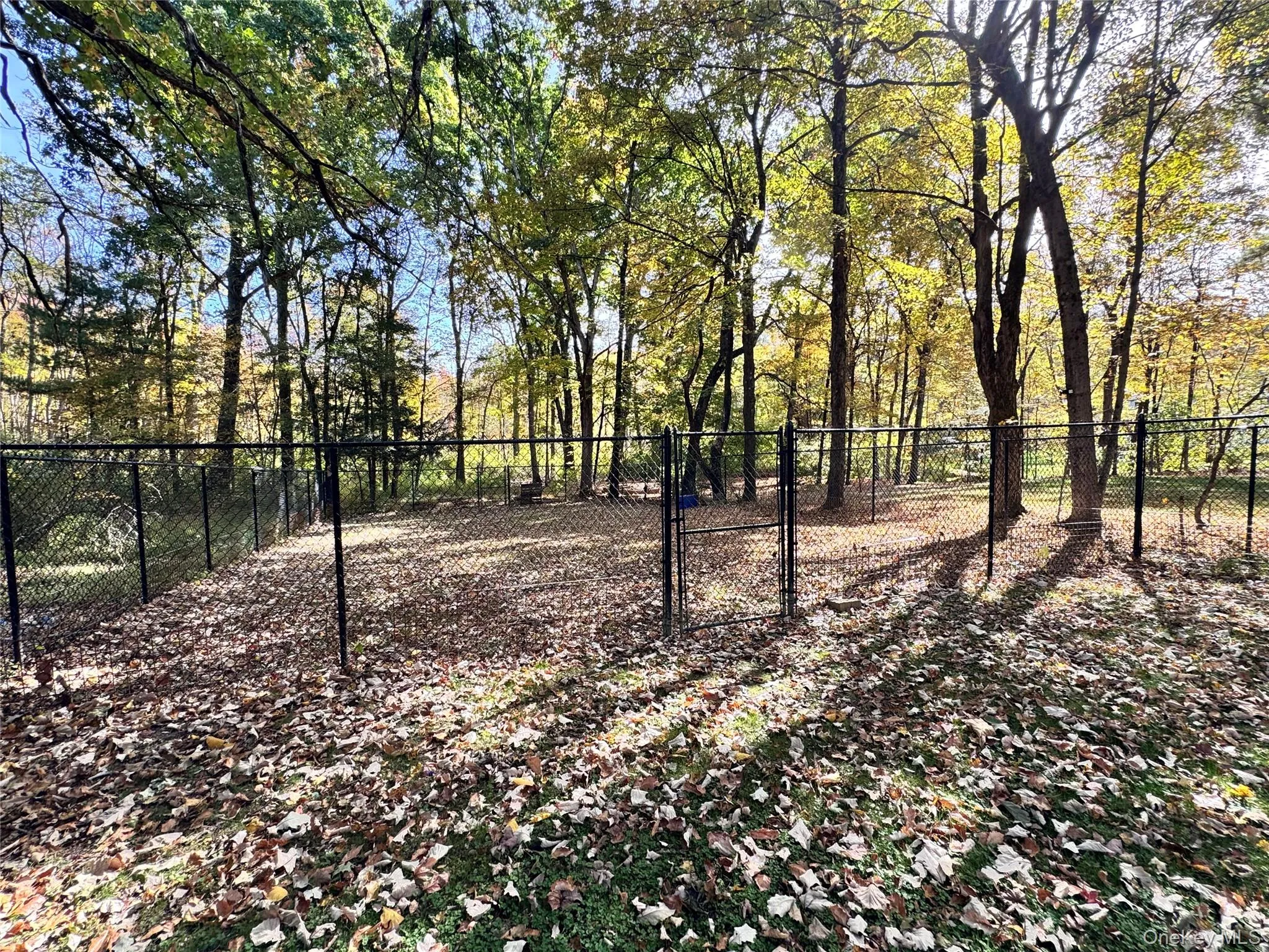 Dog Run Backyard Dog Run Backyard