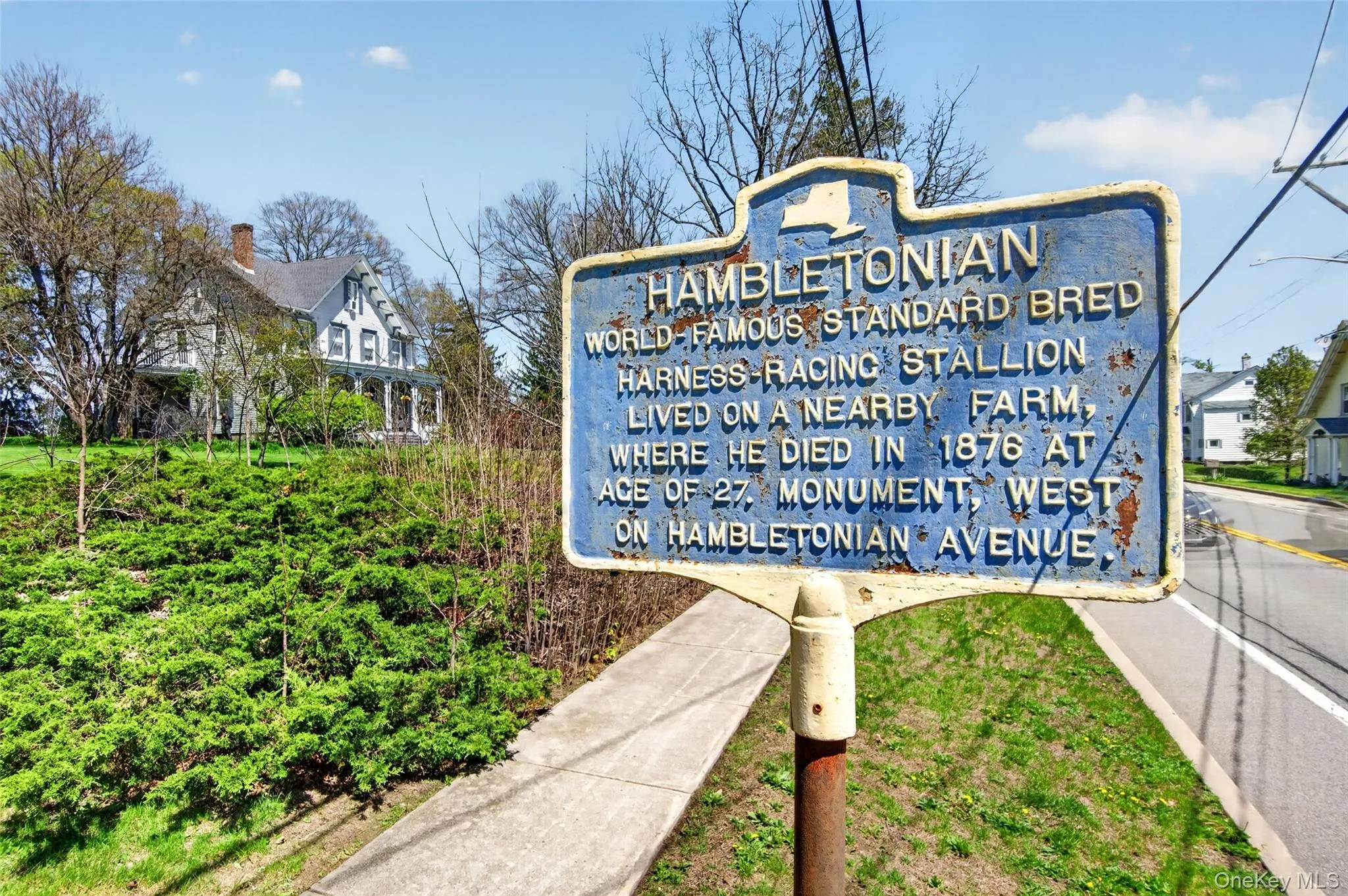 19 High Street, Chester Town, NY, 7 Bedrooms Bedrooms, 14 Rooms Rooms,4 BathroomsBathrooms,Residential Lease,For Rent,High,0,1060955 19 High Street, Chester Town, NY, 7 Bedrooms Bedrooms, 14 Rooms Rooms,4 BathroomsBathrooms,Residential Lease,For Rent,High,0,1060955