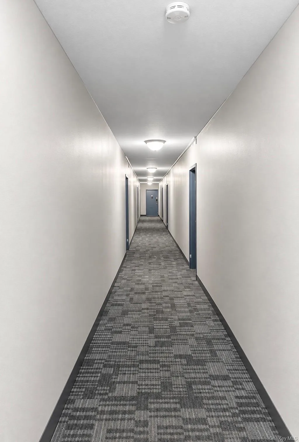 14215 FRANKLIN, New York, NY, 1 Bedroom Bedrooms, 3 Rooms Rooms,1 BathroomBathrooms,Residential,For Rent,FRANKLIN,0,1061041 14215 FRANKLIN, New York, NY, 1 Bedroom Bedrooms, 3 Rooms Rooms,1 BathroomBathrooms,Residential,For Rent,FRANKLIN,0,1061041